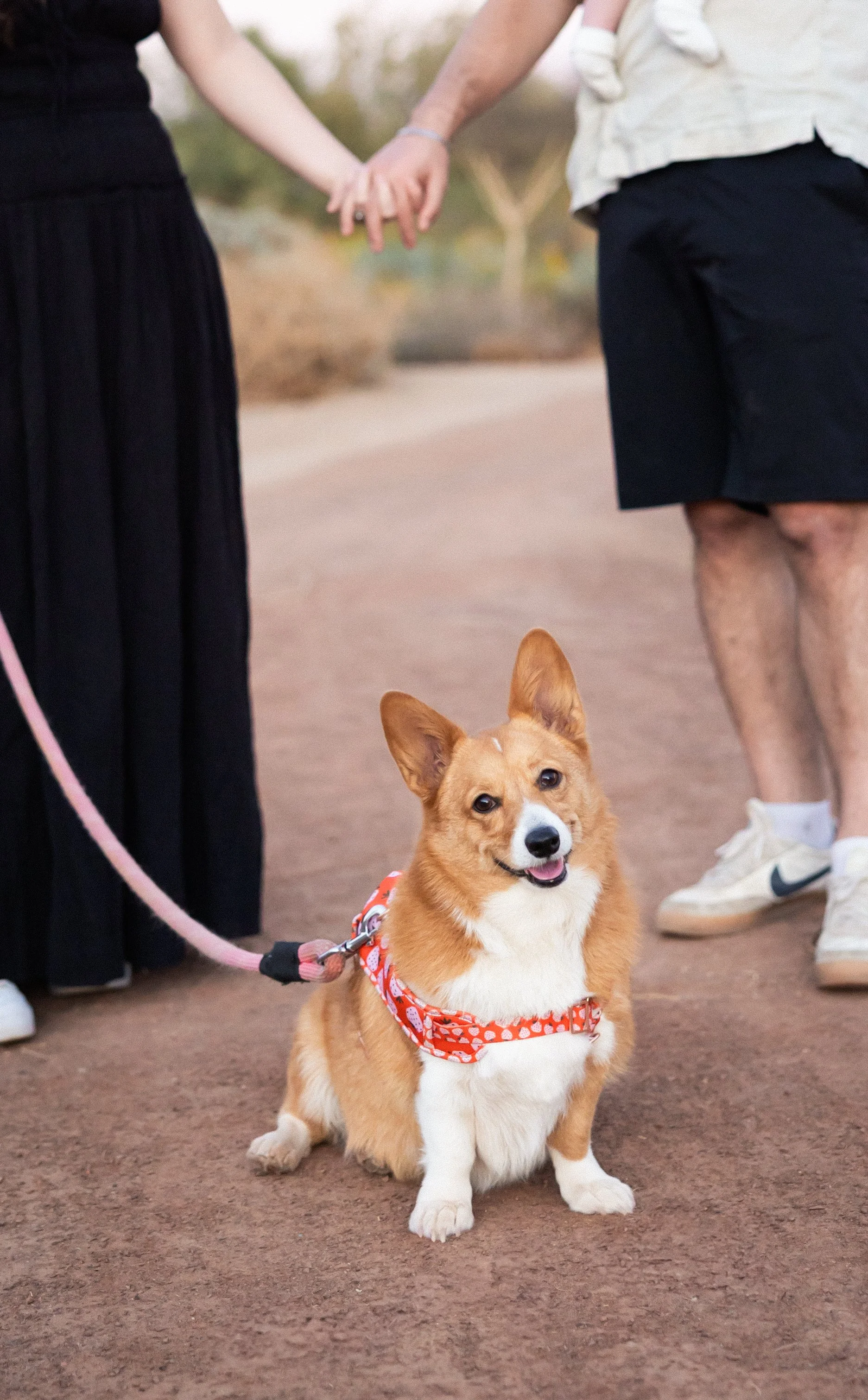 vanessa-brack-photography-yuma-phoenix-85.jpg