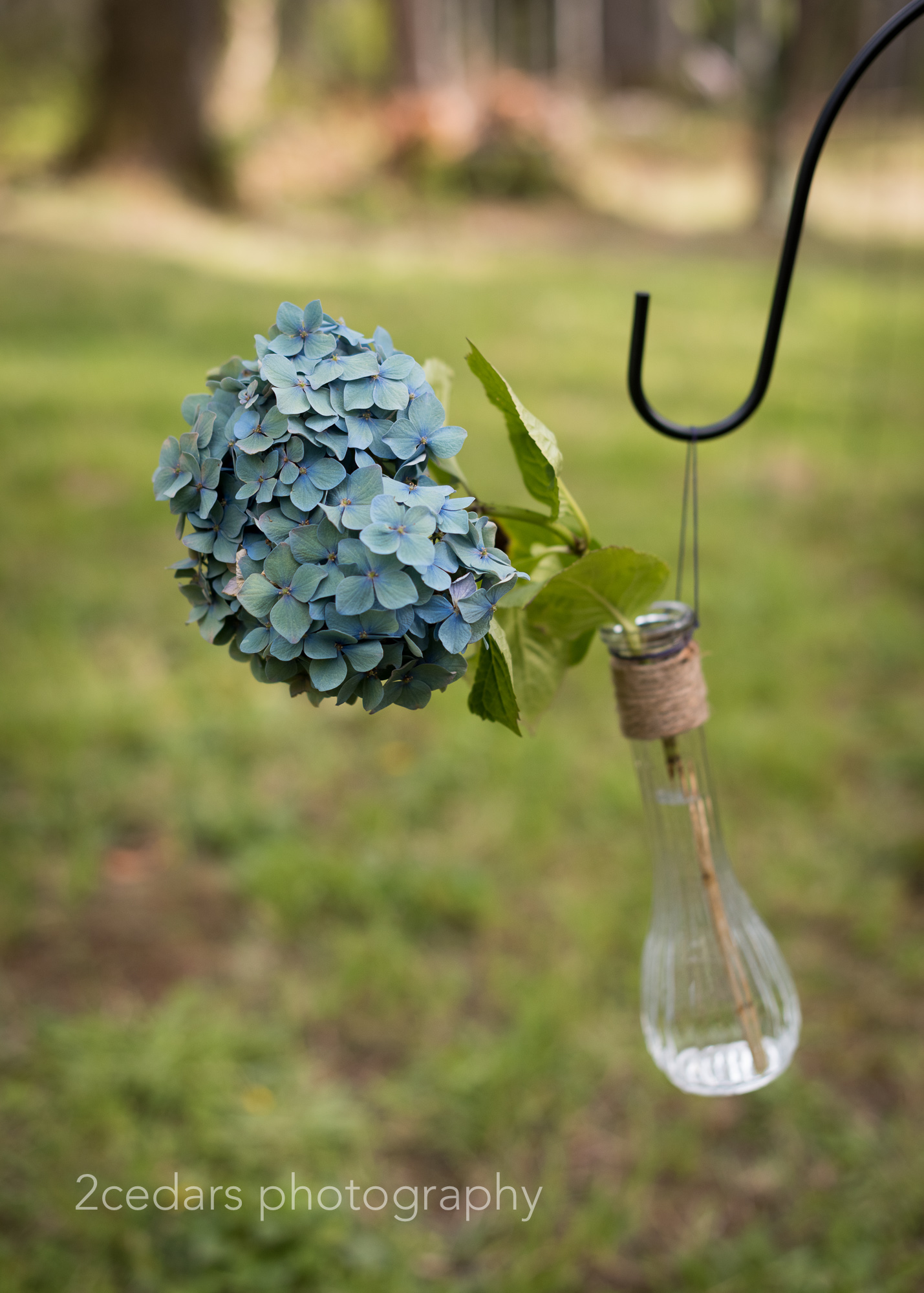 Hydrangeas in a bottle natural wedding decor