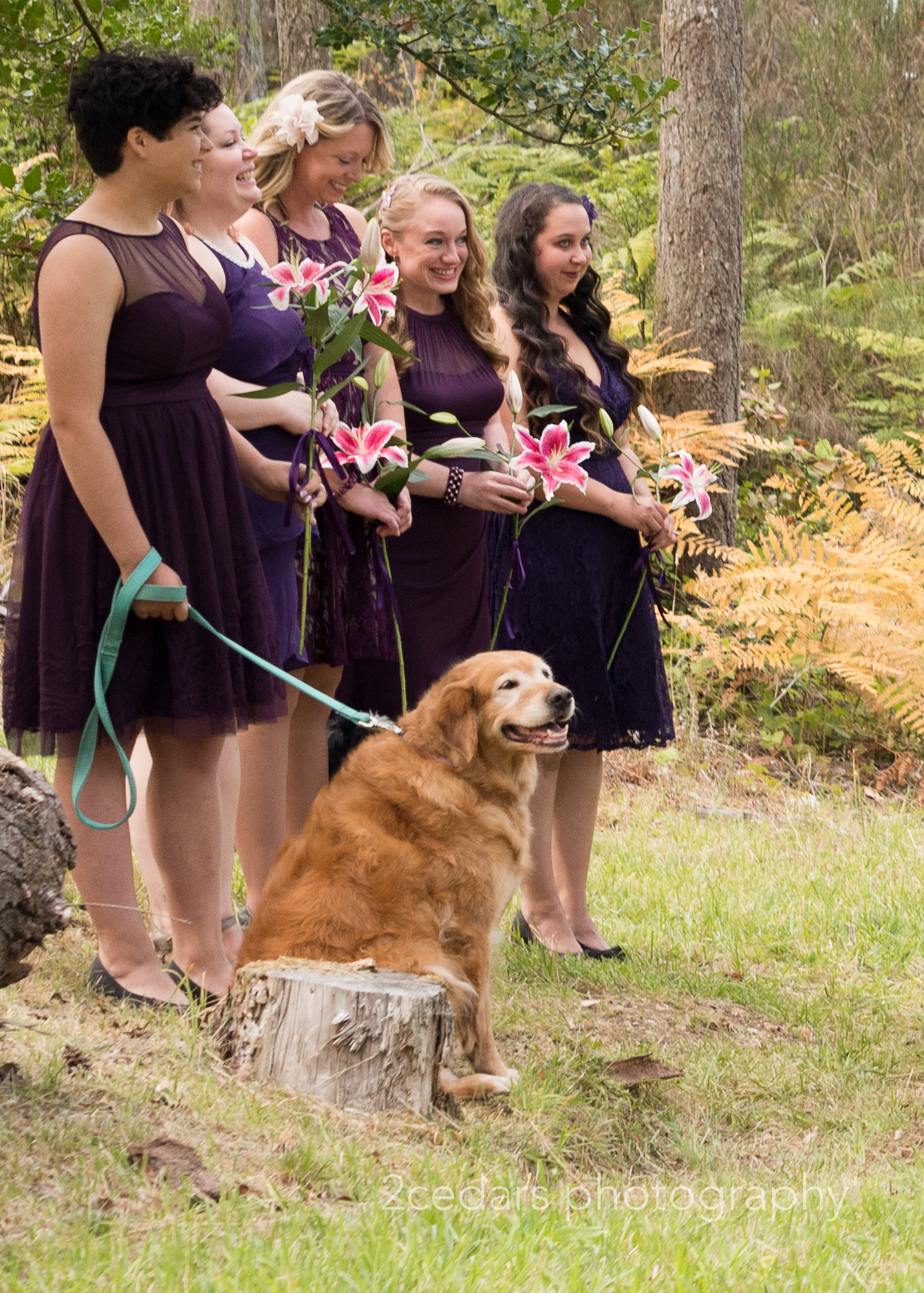 Bridesmaids and dog at during the ceremony