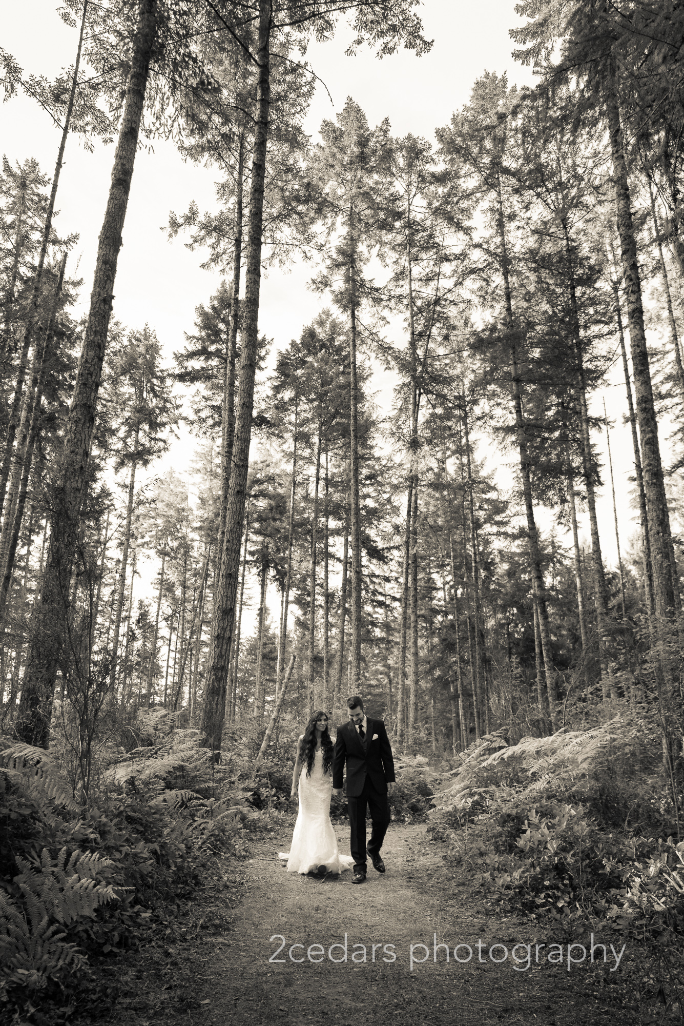 Black and white bride and groom in the forest