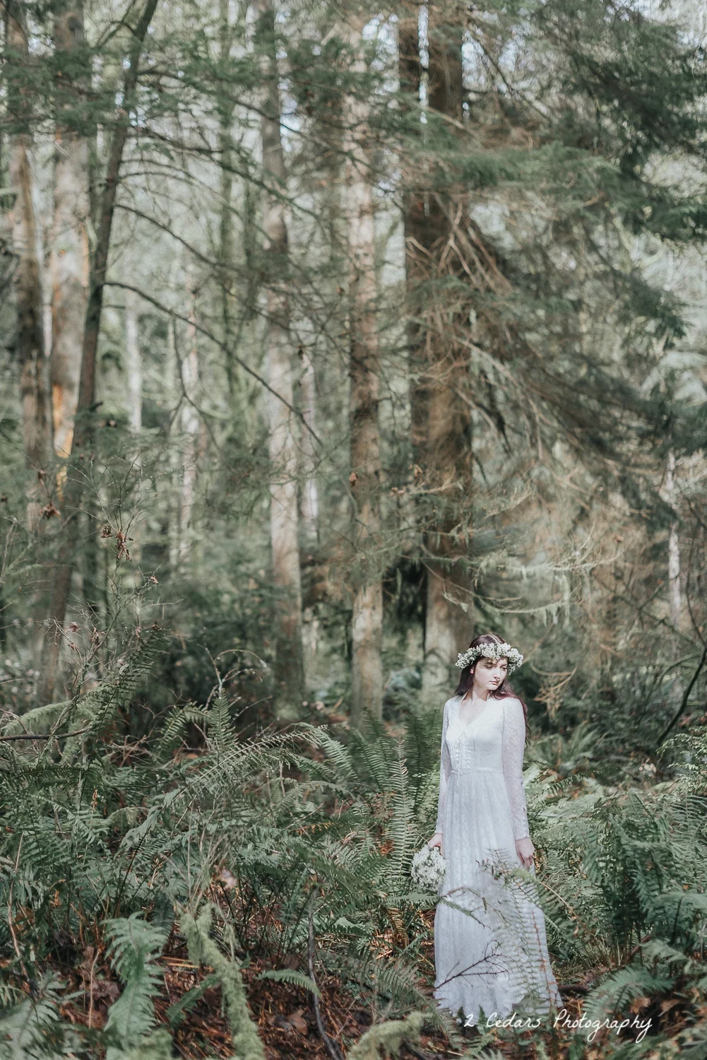 2 Cedars Photography - Seattle/Tacoma Photographers Pacific Northwest forest bride in the sunlight
