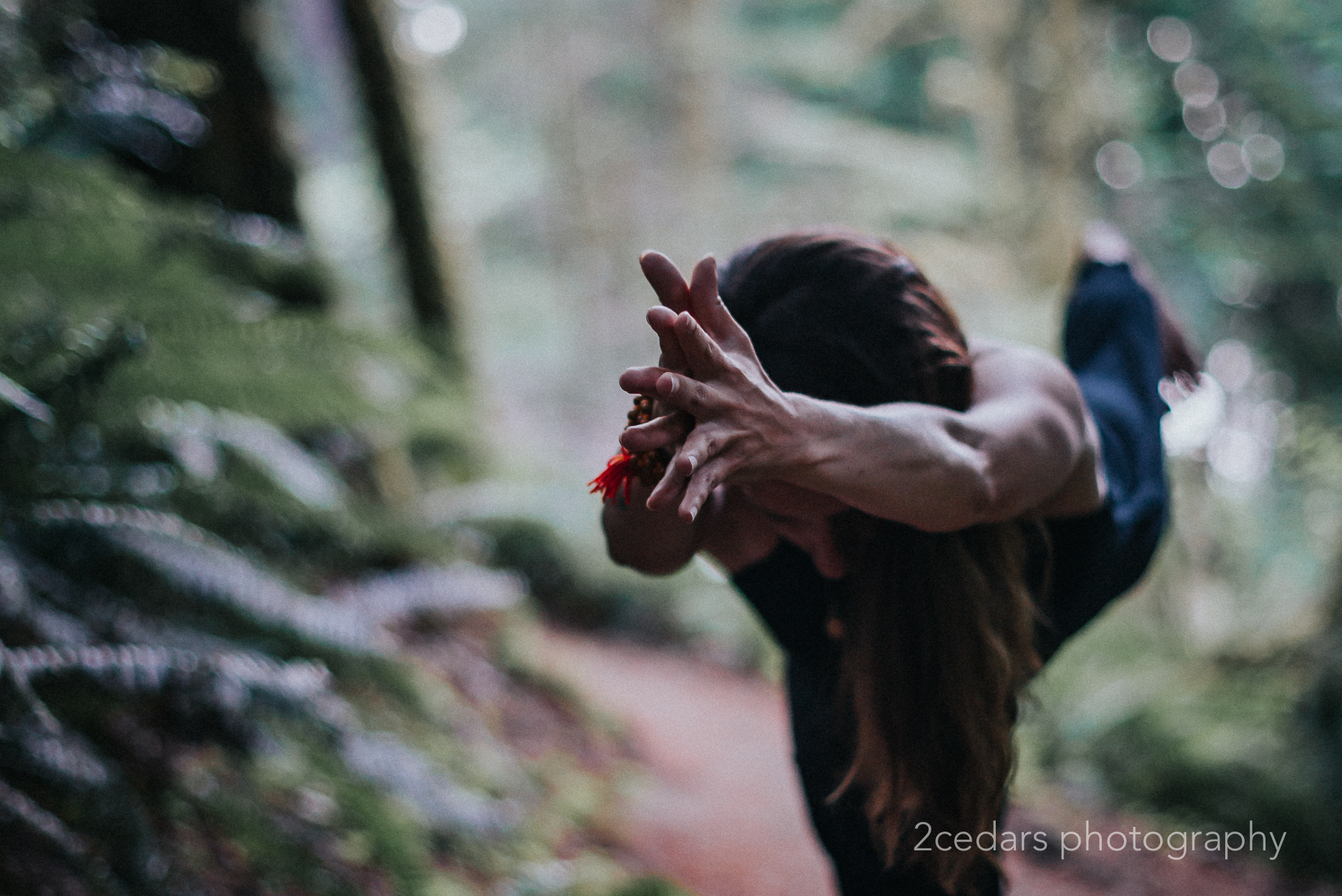 Yoga Wild