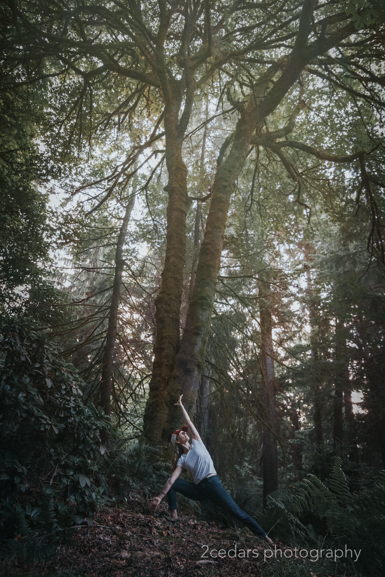 Yoga Wild