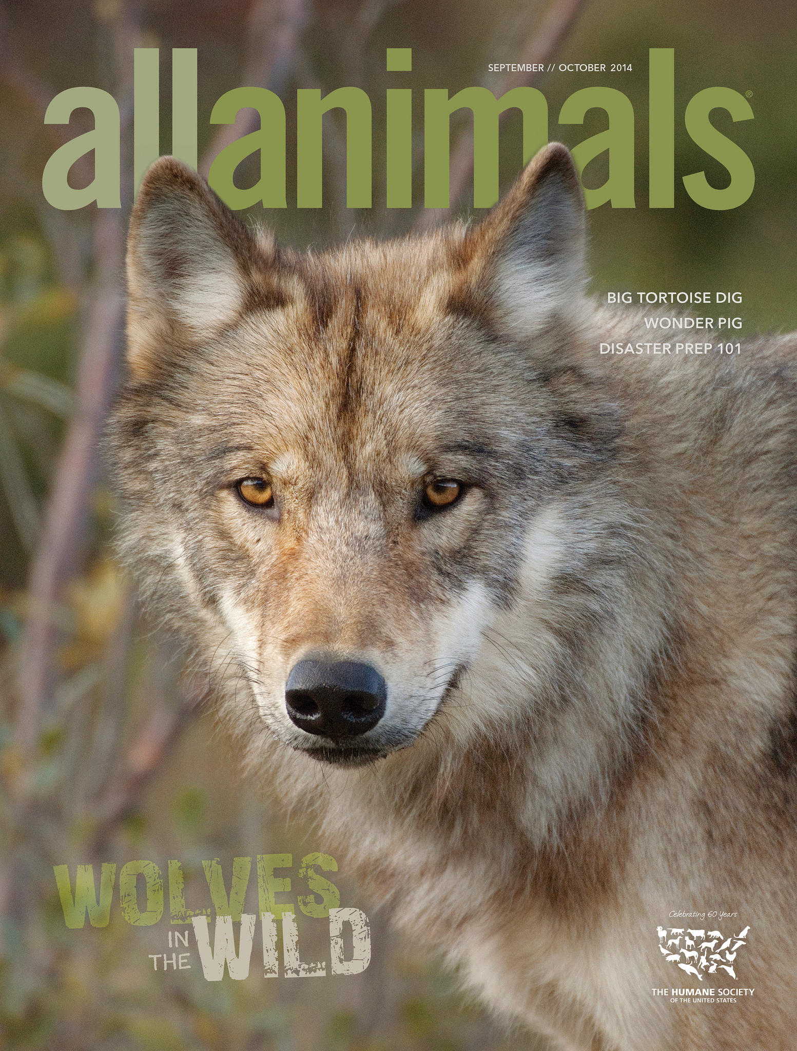 September | October 2014 All Animals