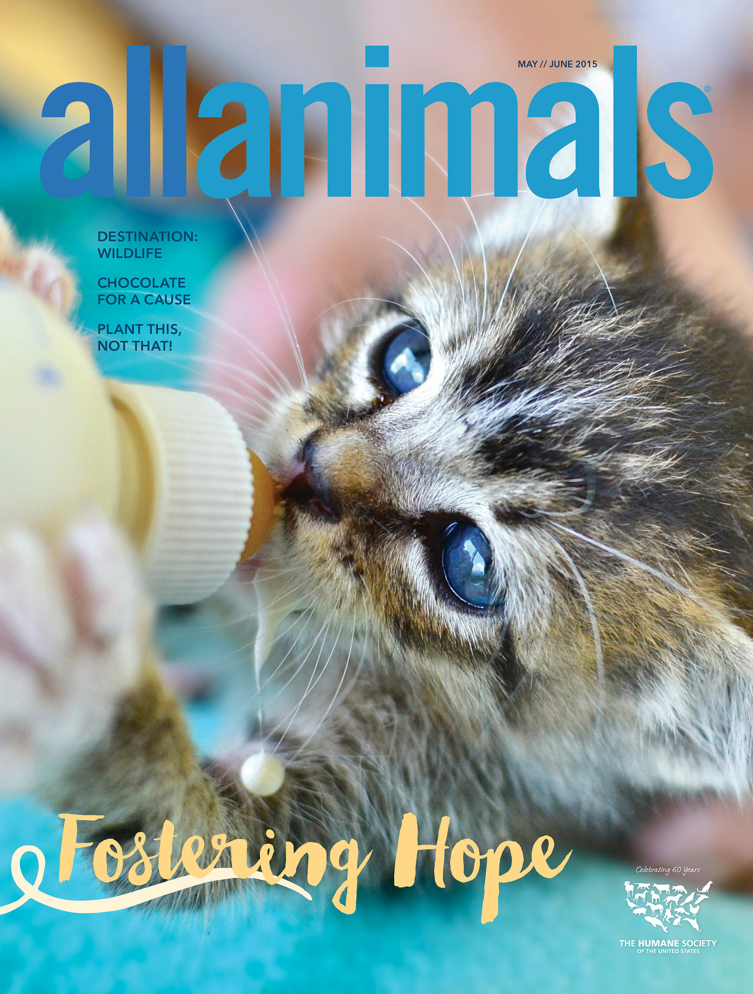 May | June 2015 All Animals