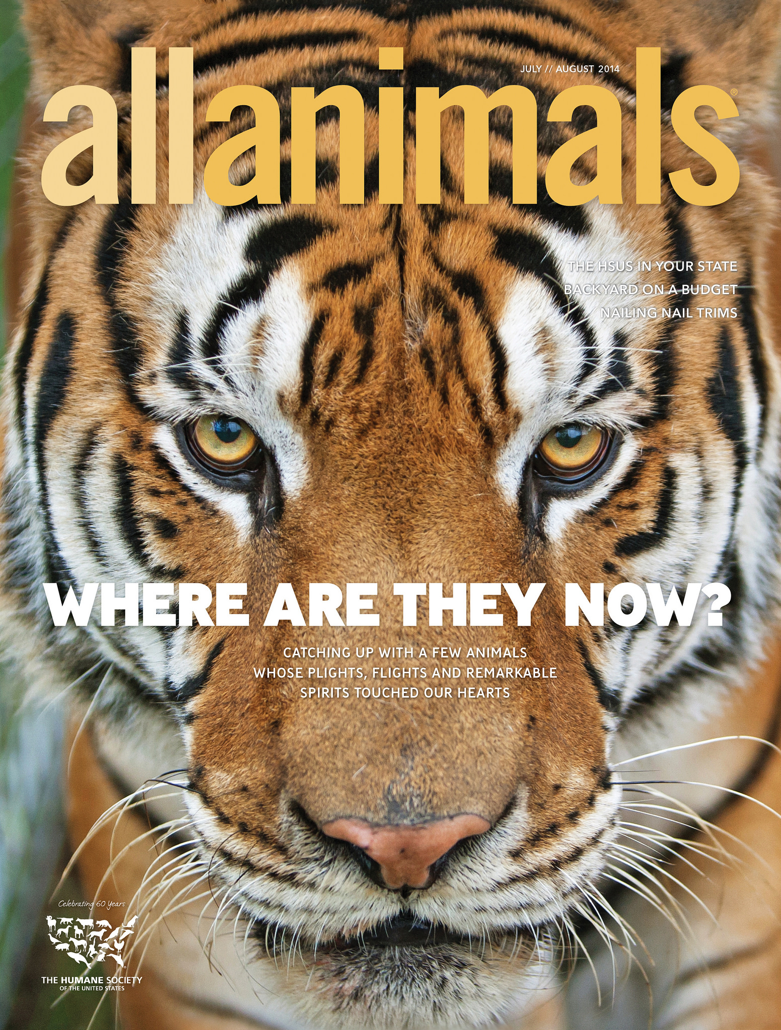 July | August 2014 All Animals