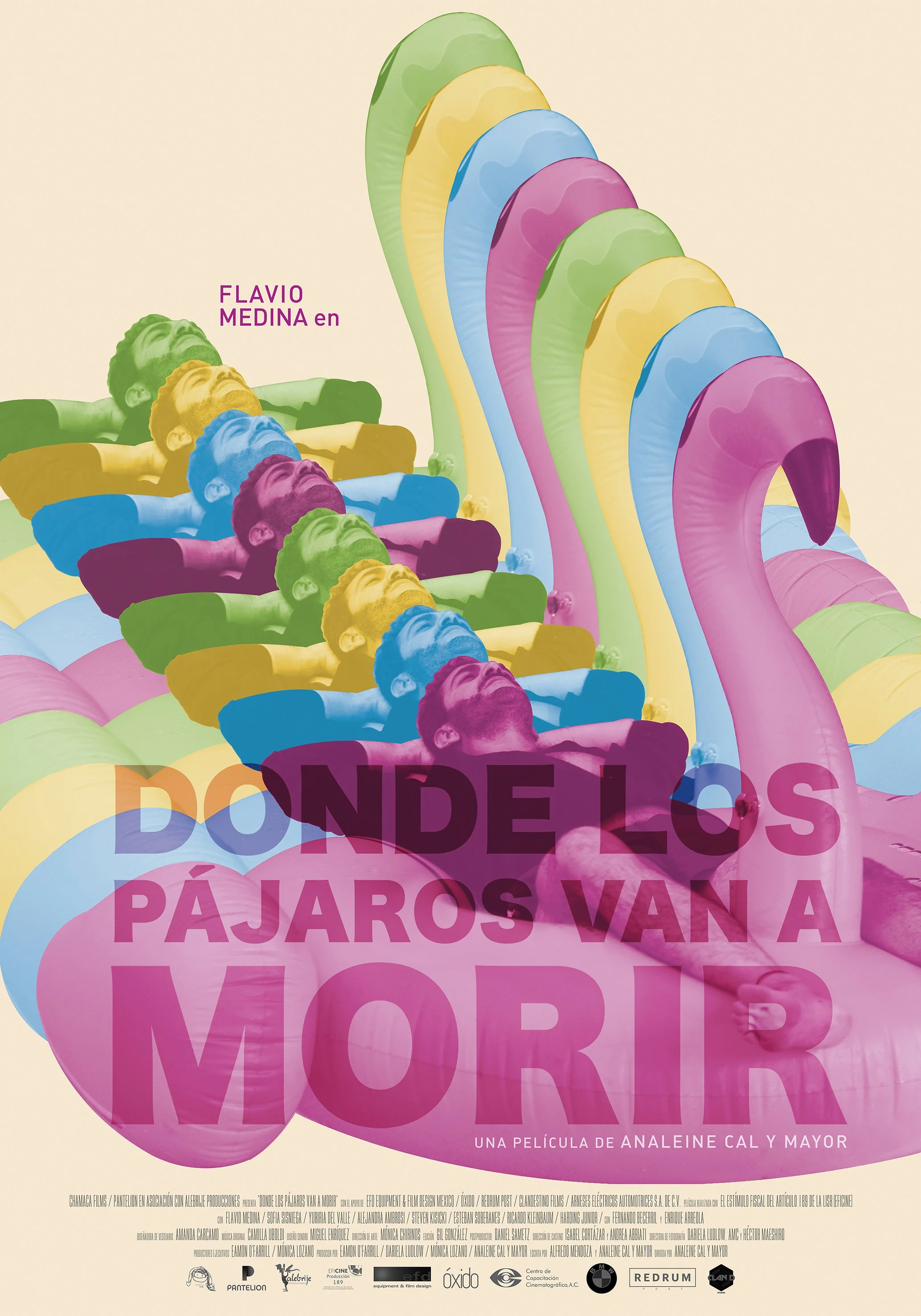 DLPVAM_POSTER_RGB 75dpi_70X100_21 ABRIL2022.jpg