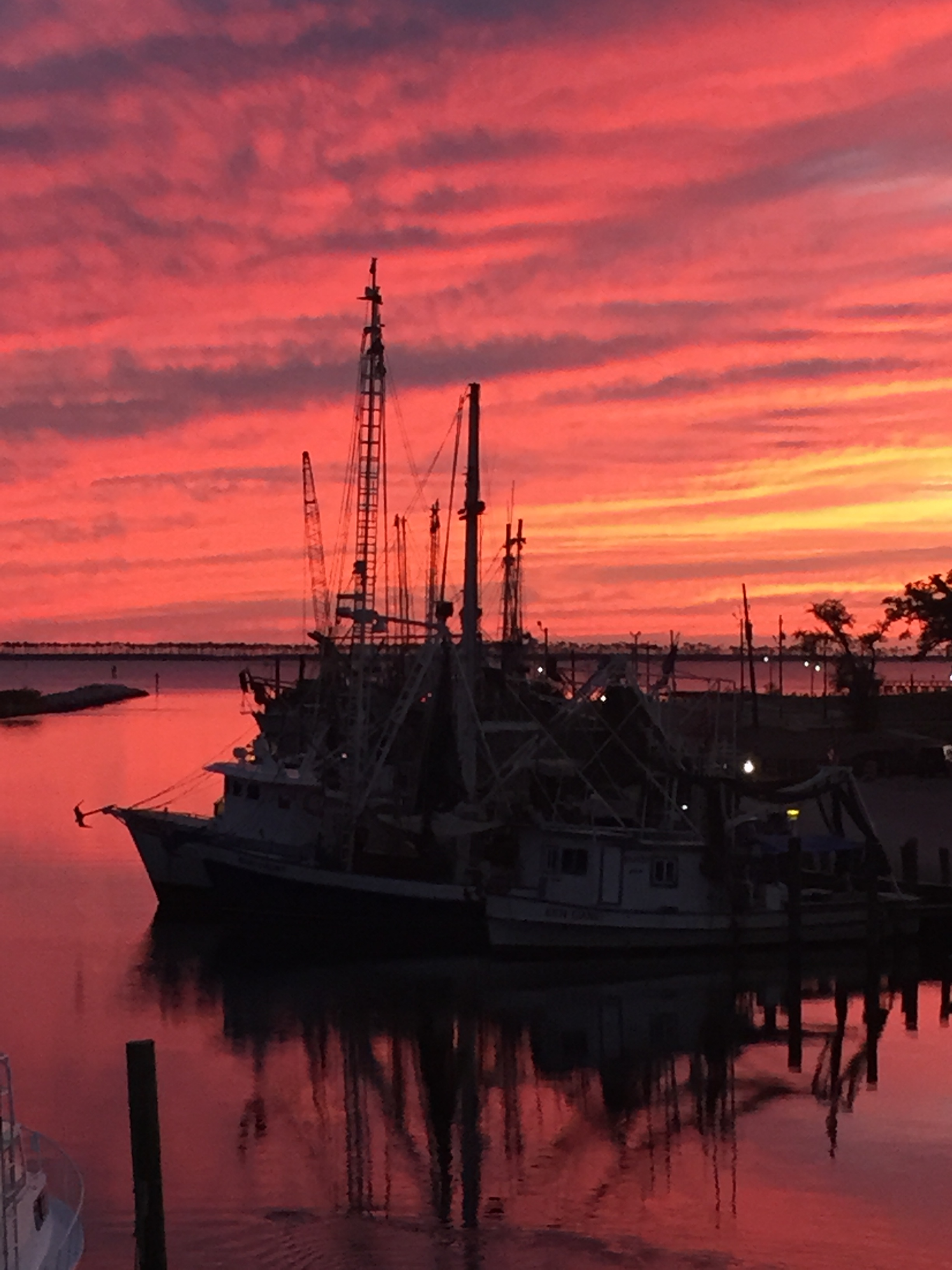 harbor.jpg