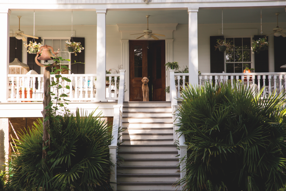 ABOVE: Standing vigil on the back porch, Rives looks out onto Elm Street Gardens’ rows of vegetables.