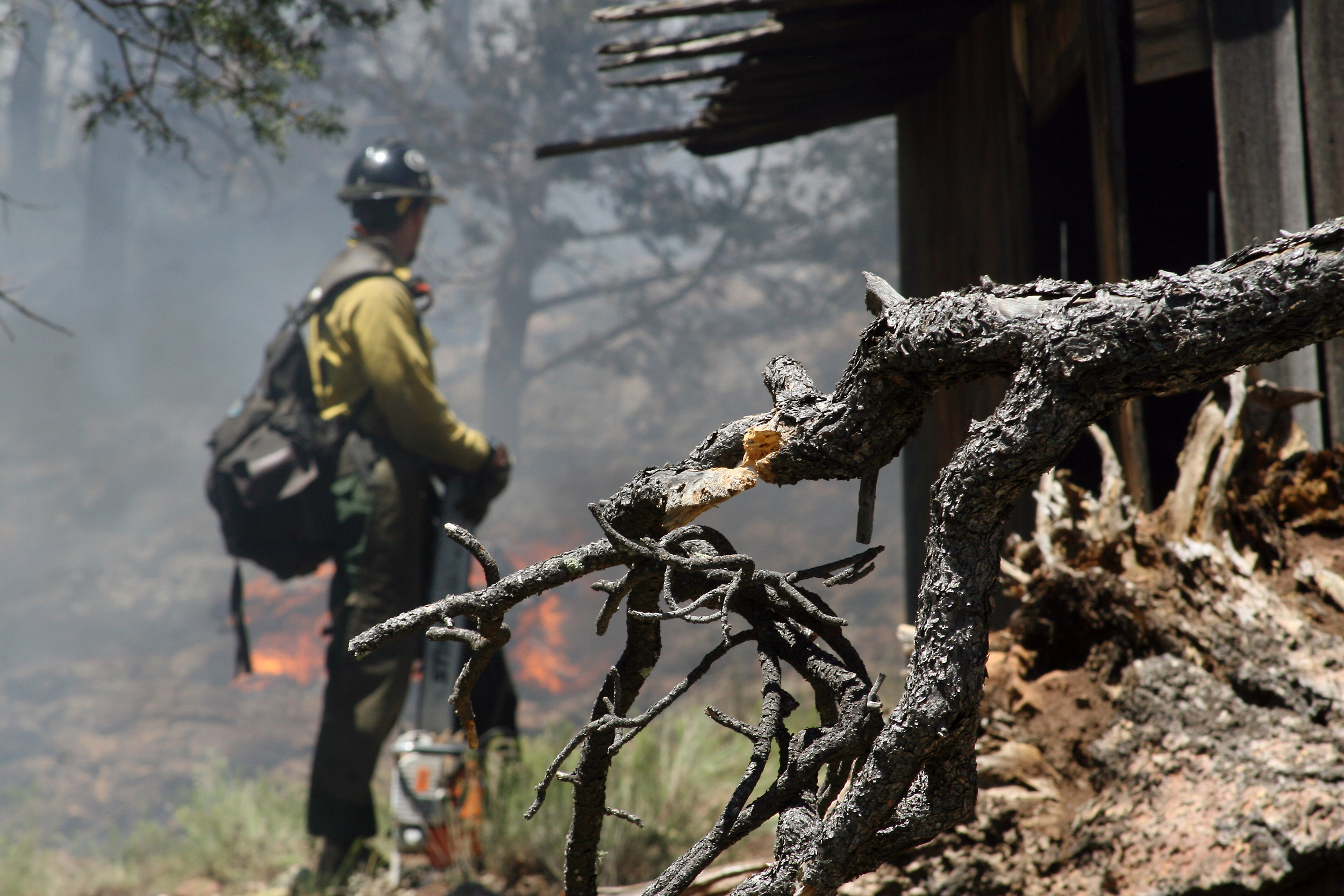 What is a Fireshed?