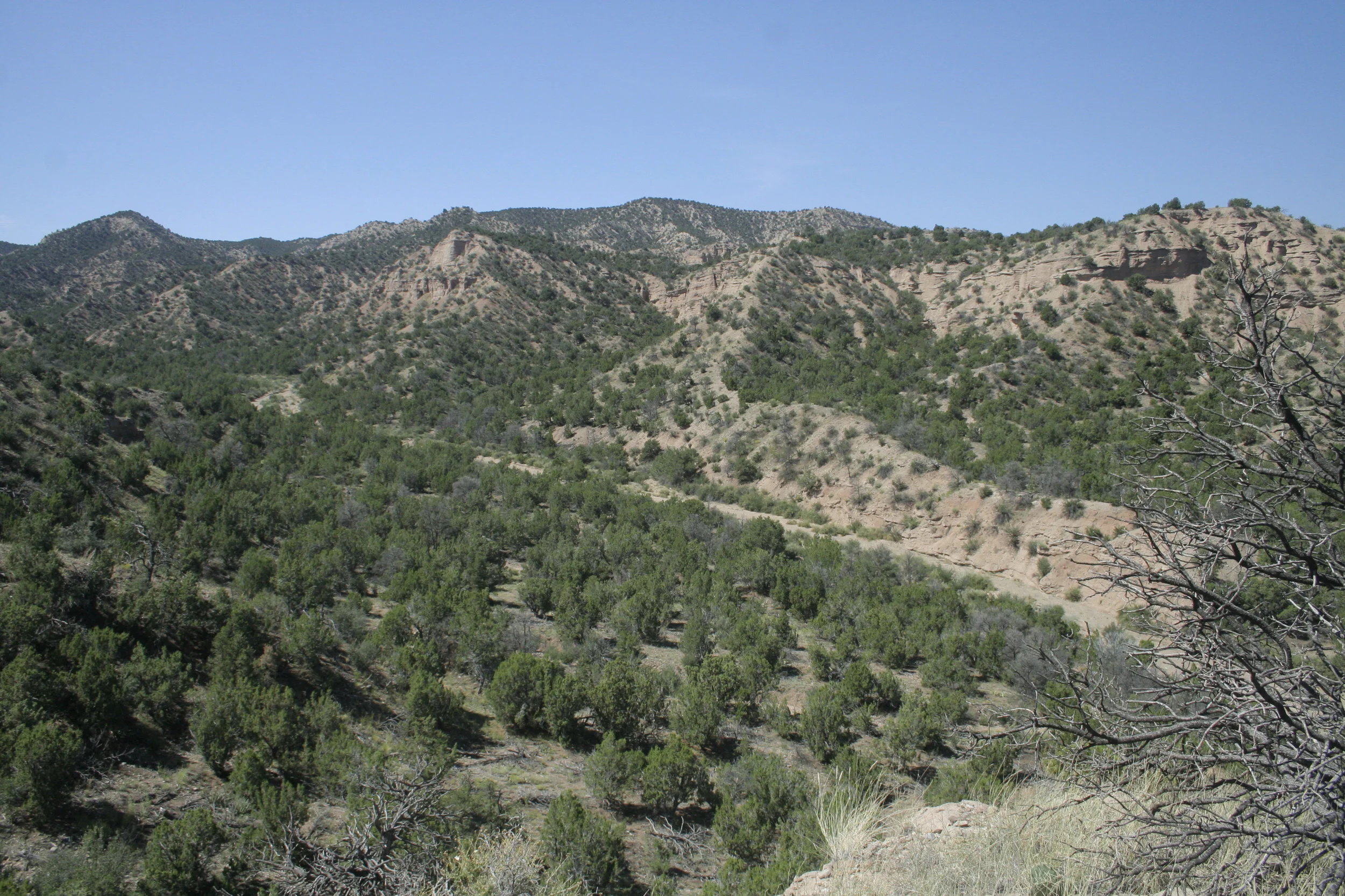 _MG_6023.jpg