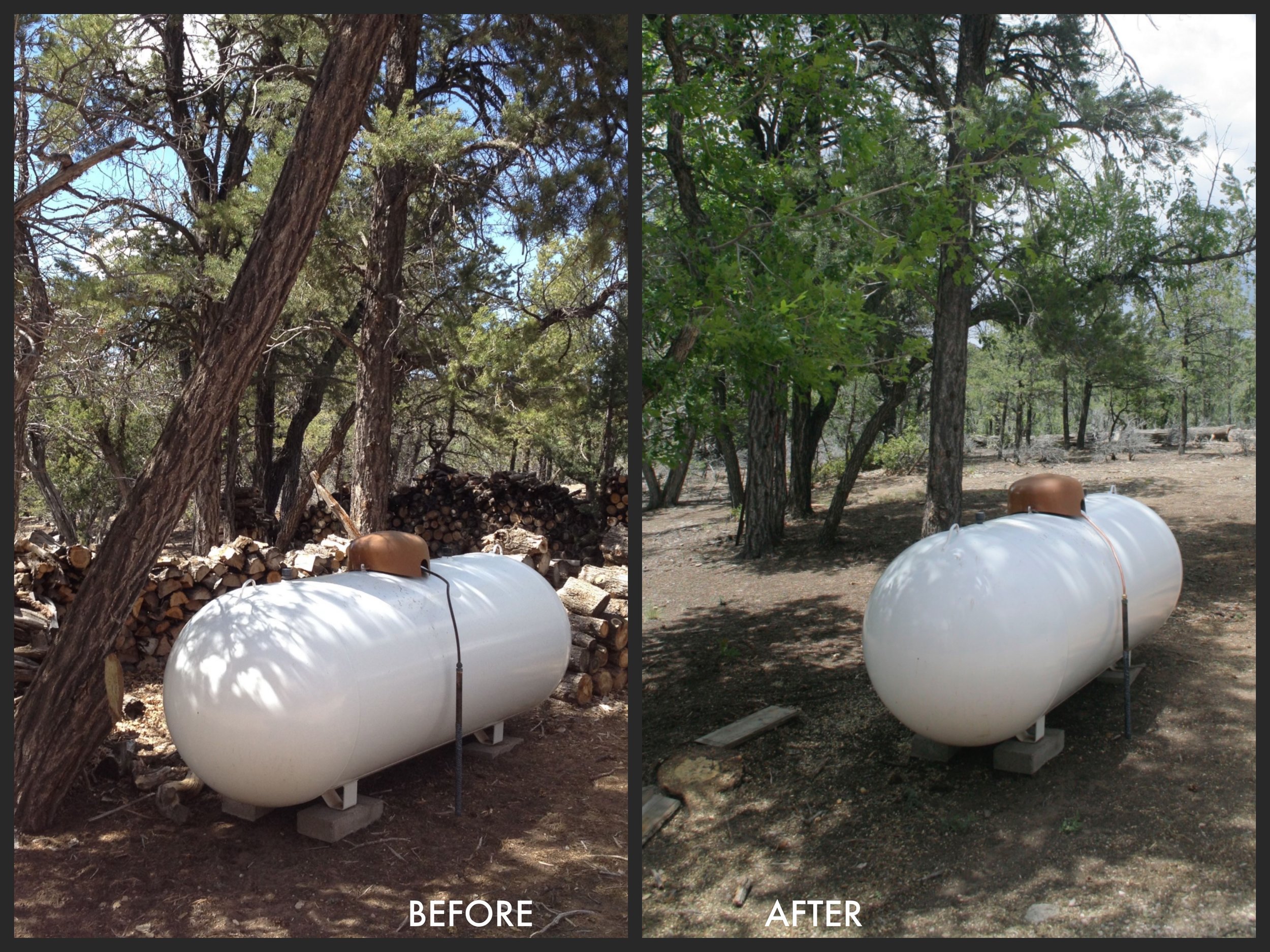 Before and after hazardous fuels removal on private property.