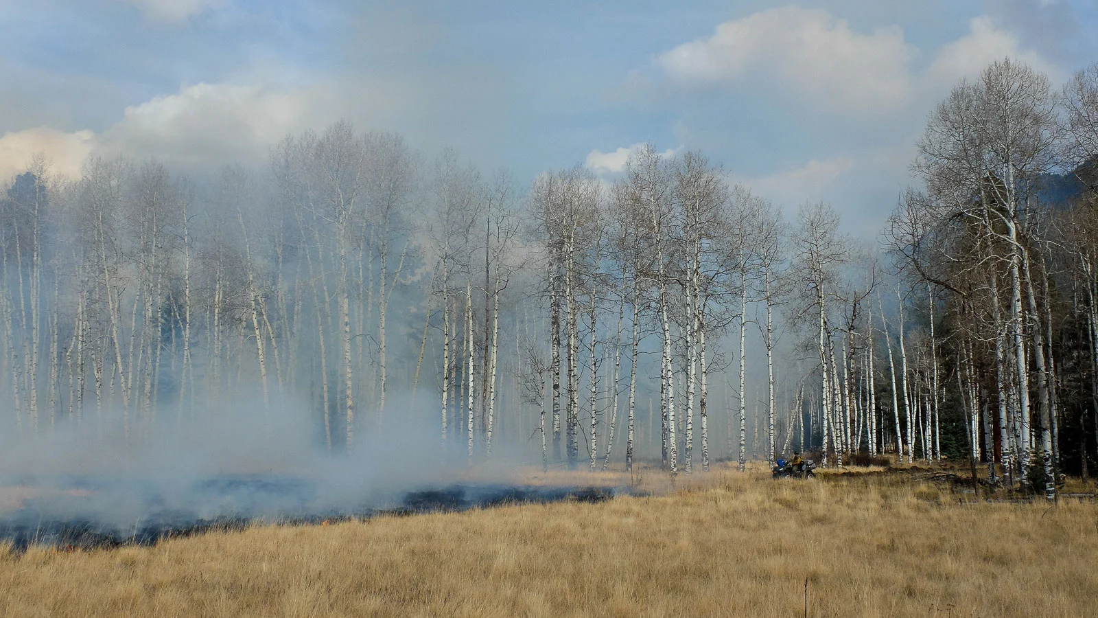 13Apr_BP_rxfire_098-2.jpg