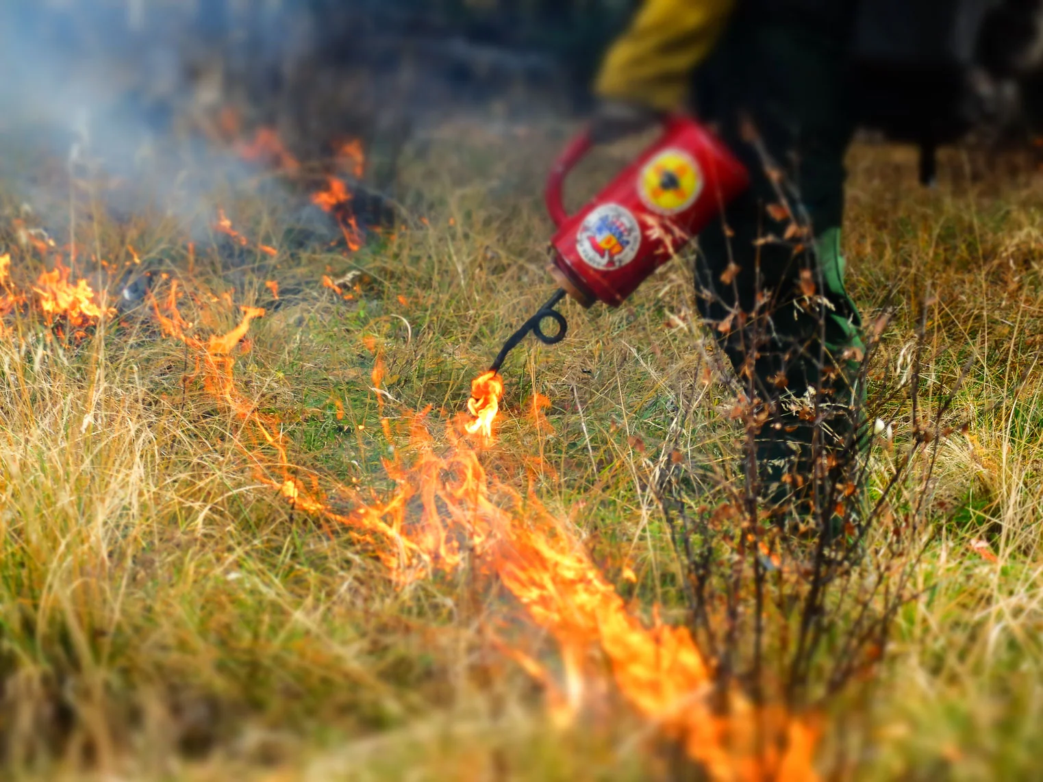 13Apr_BP_rxfire_083.jpg