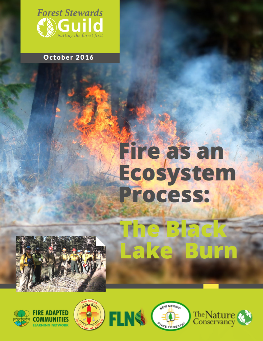 Fire as an Ecosystem Process: The Black Lake Burn