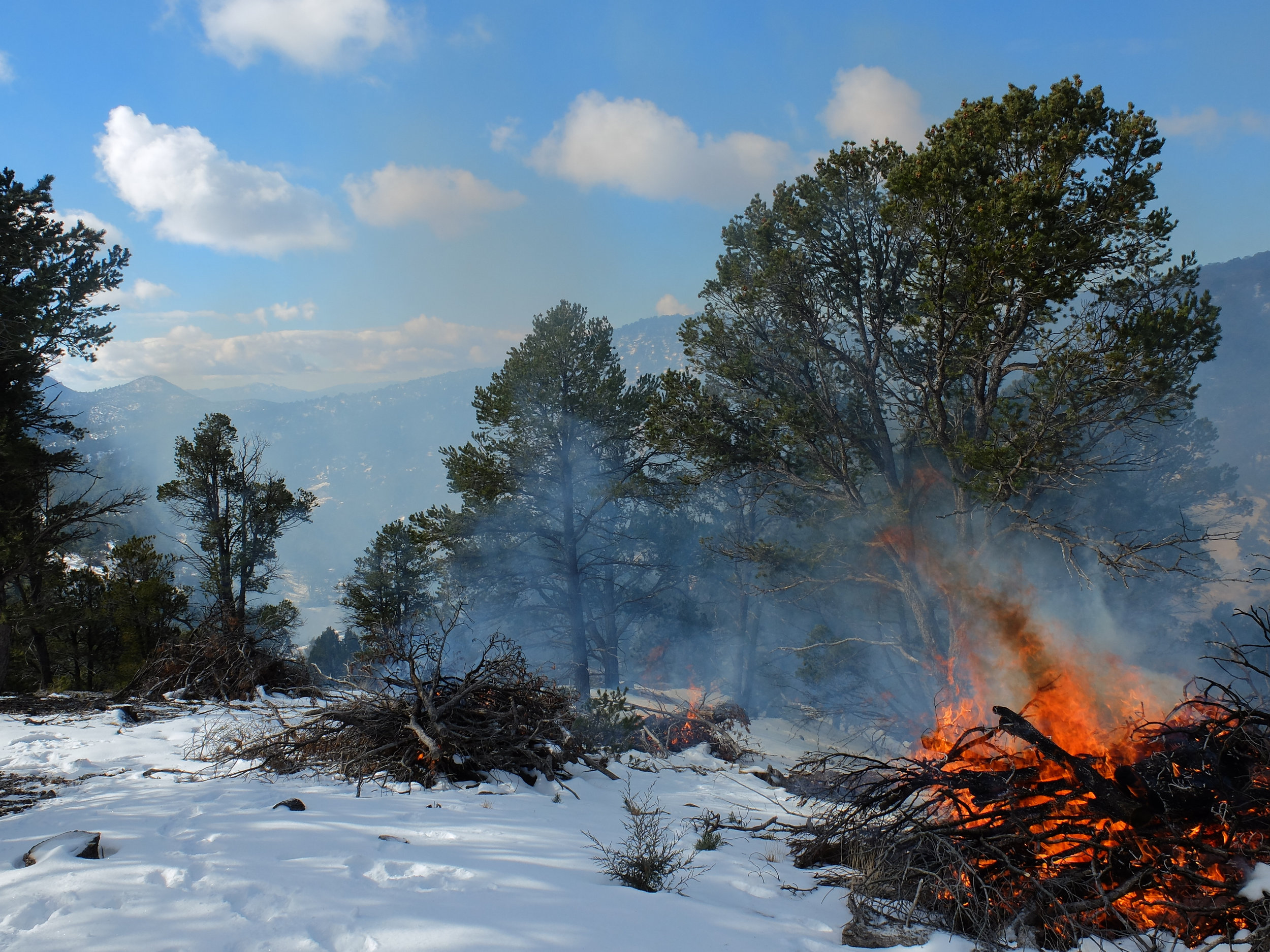  A fireshed is an area where social and ecological concerns regarding wildfire overlap and are intertwined. 