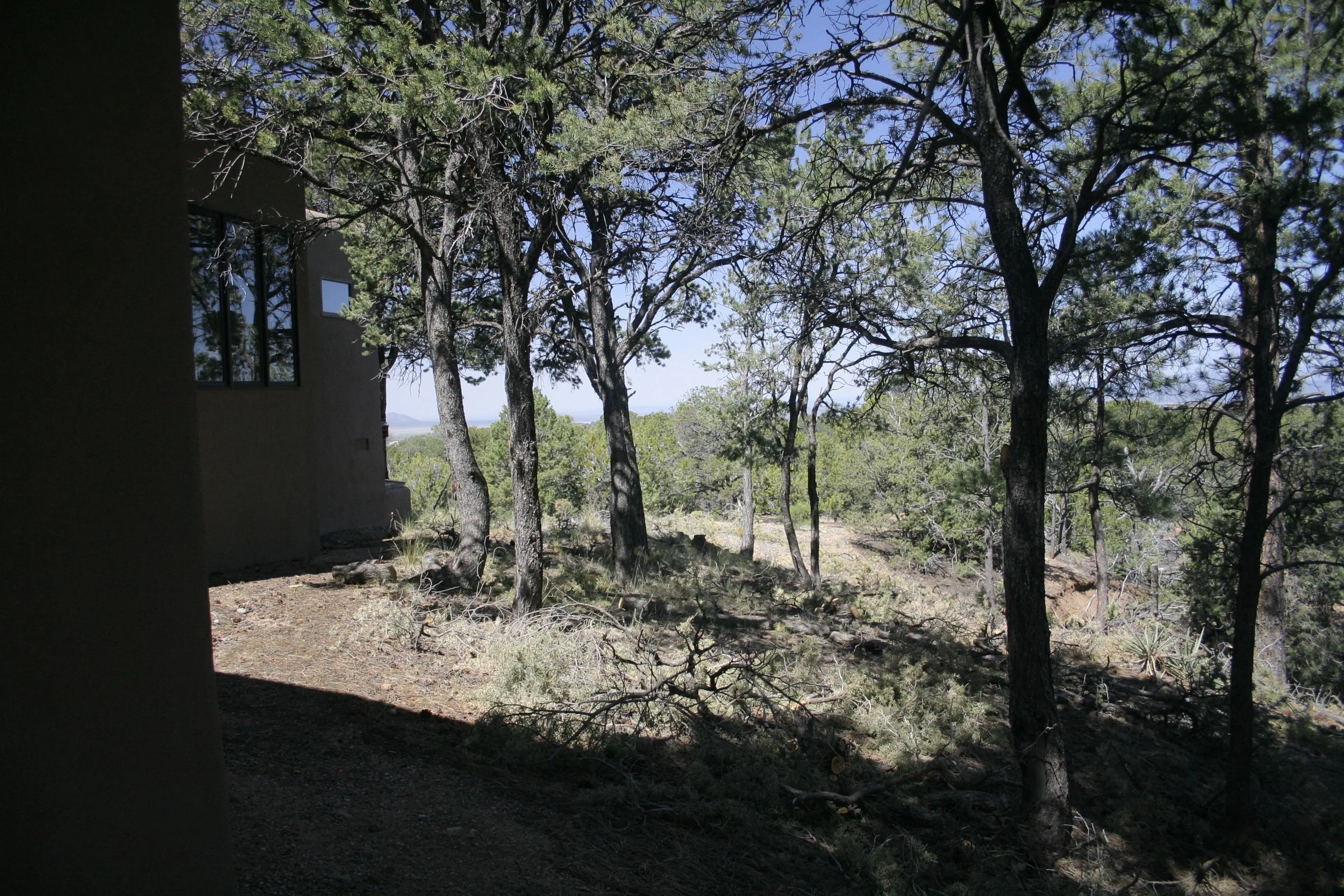 After treatment: ladder fuels removed, reducing the wildifre risk to the home. 
