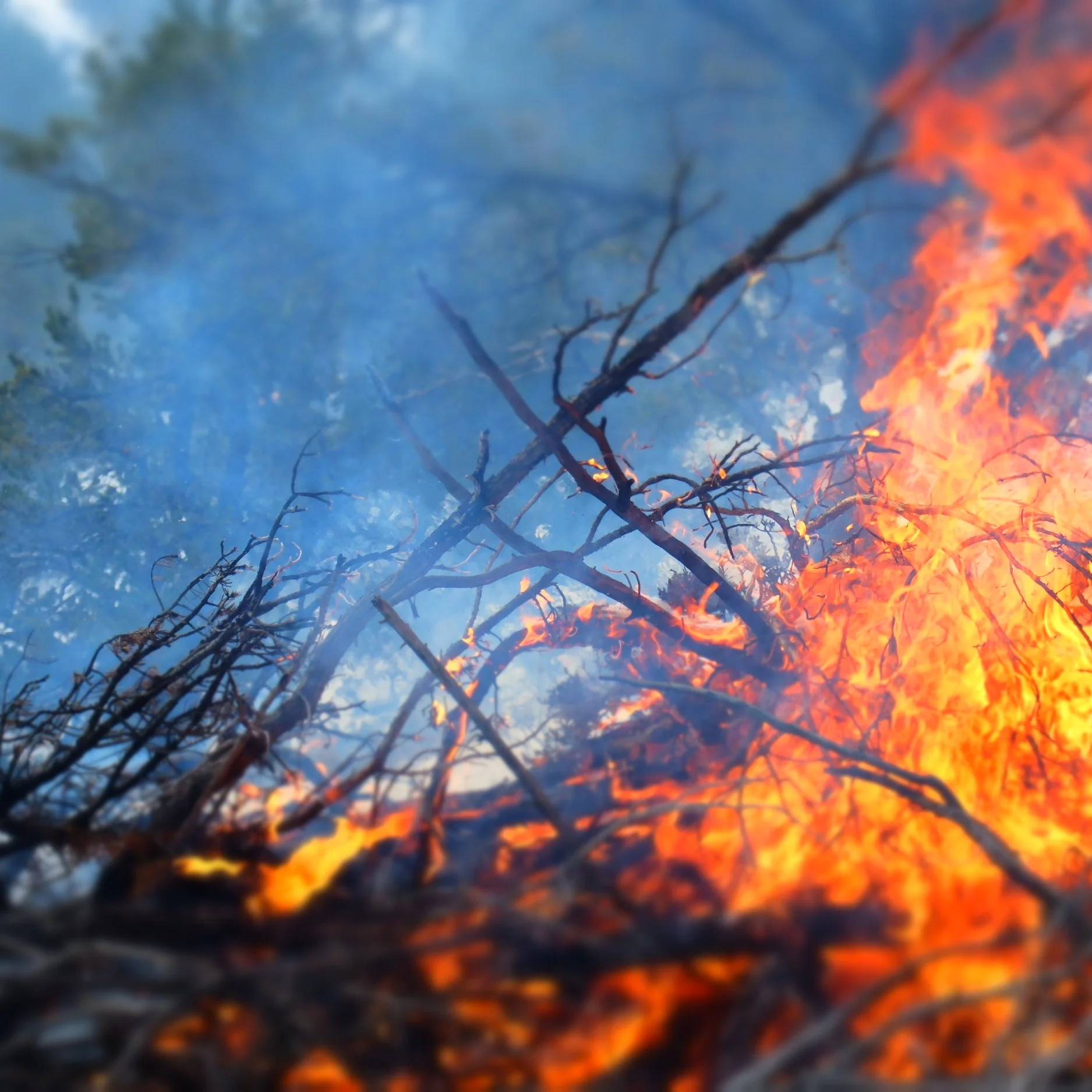A prescribed pile burn in the Aztec Springs Neighborhood up Hyde Park road.