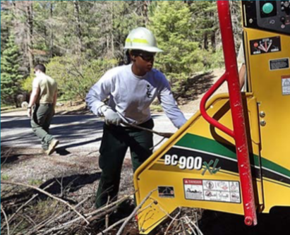 National Community Wildfire Preparedness Day: Project Ideas