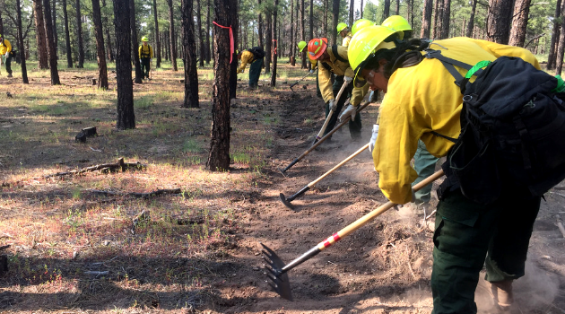 Salient lessons learned regarding how to build the next generation of wildfire practitioners. Credit: Forest Stewards Guild