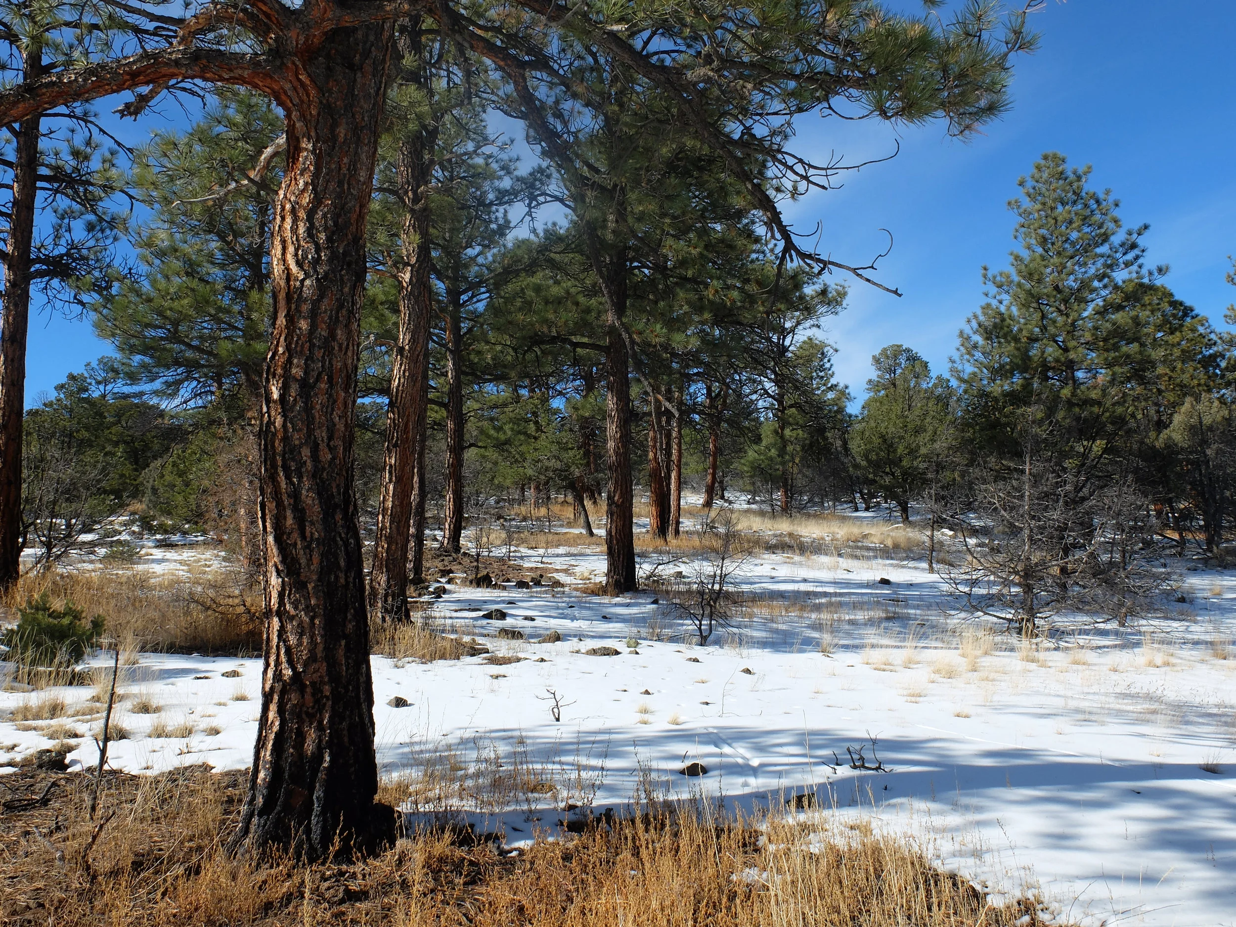 DSCF2597.jpg