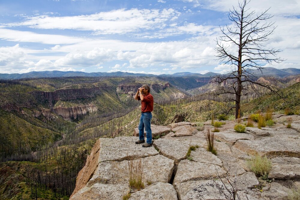 Craig Allen, a research ecologist with the United States Geological Survey, looking over an area scarred by wildfires in the Santa Fe National Forest on Sept. 7, 2015. Photo credit: Nick Cote for The New York Times