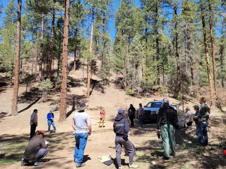 A group of 15 attendees stand in a circle in the woods on a sunny day with pine tree shadows and blue skies
