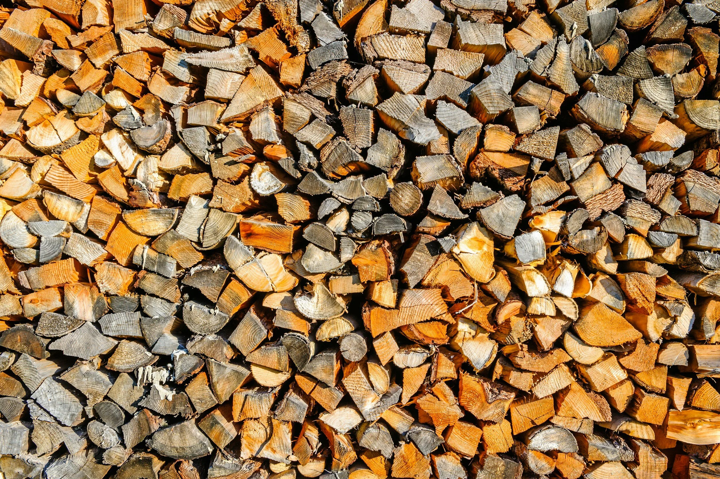 Wildfire Wednesdays #129: Innovations in Biomass Utilization