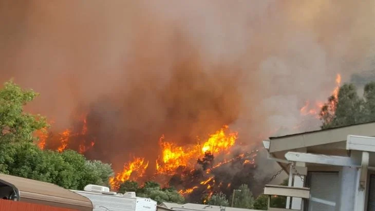 Wildfire Wednesdays #139: Proactive Home Protection Against Wildfire