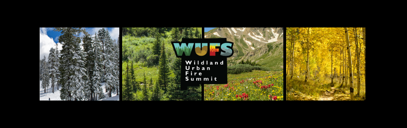 Wildfire Wednesdays #142: Diversity of Perspectives in Wildfire Preparedness