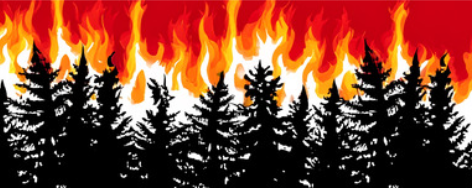 Wildfire Mitigation Community Education Day