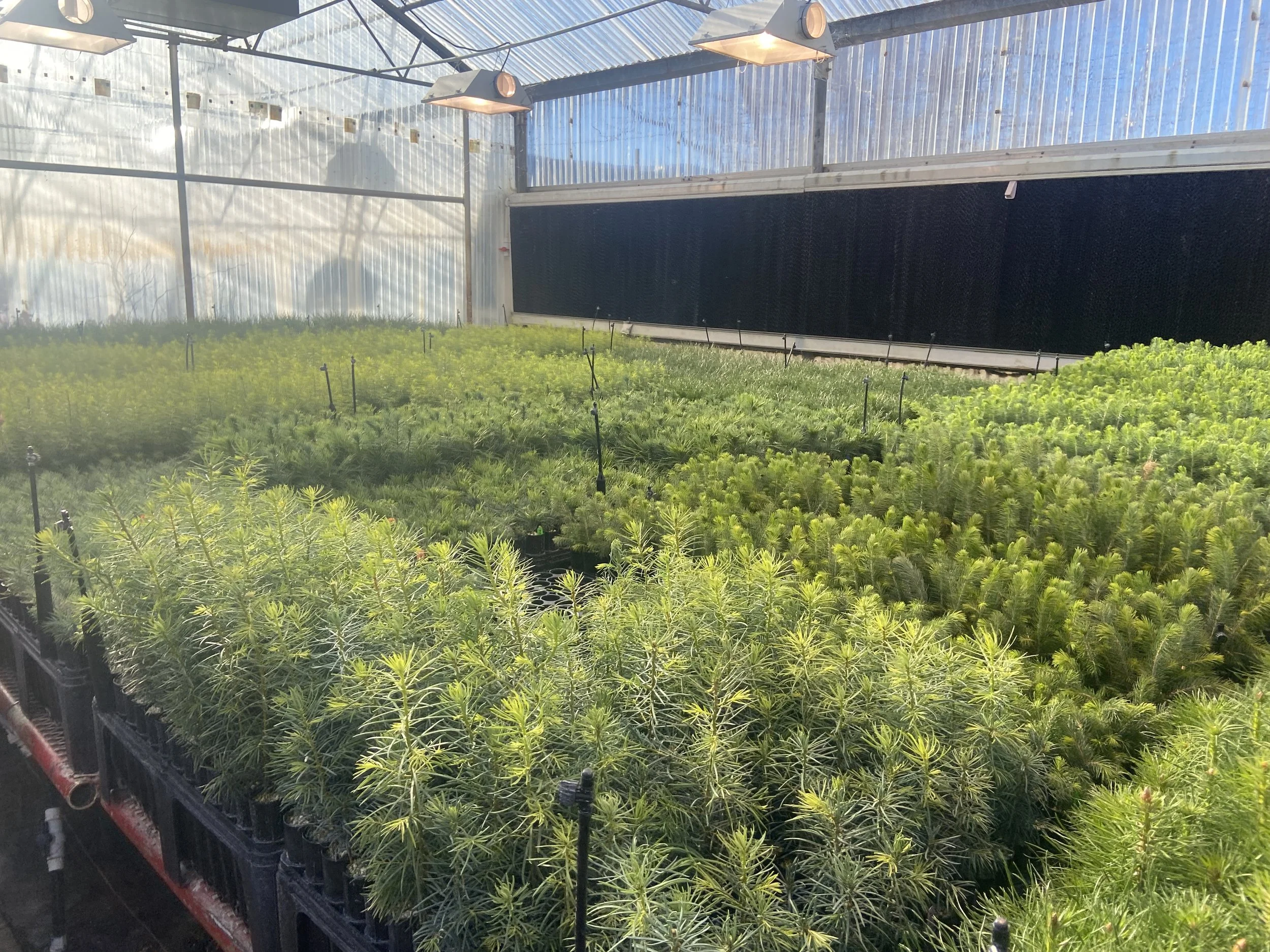 Society for Ecological Restoration Southwest Chapter 2025 Conference