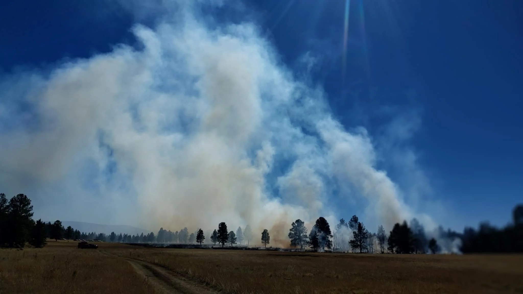 Smoke from Unit.jpg
