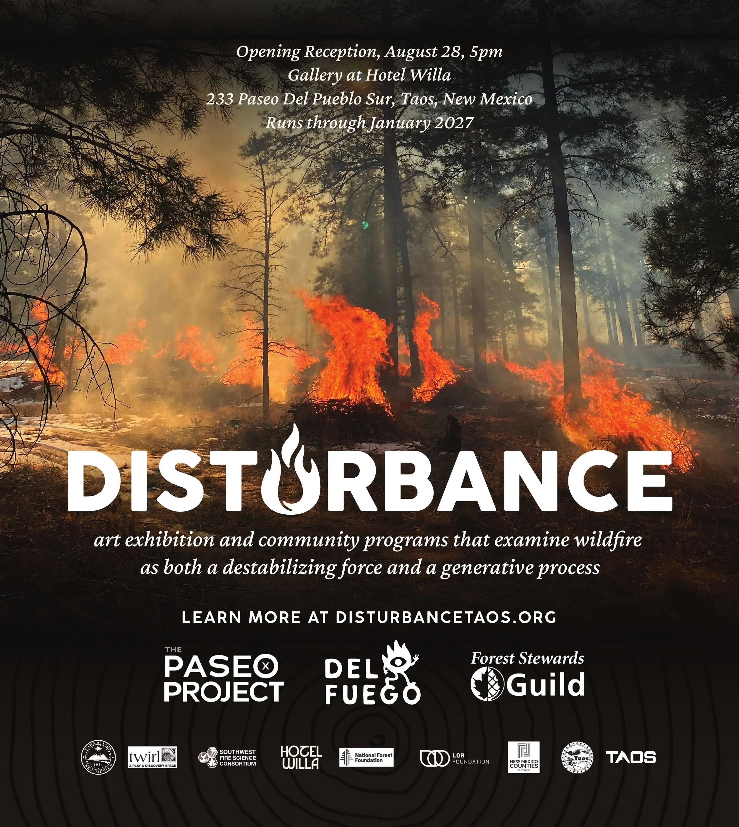 Disturbance: The Art and Ecology of Change