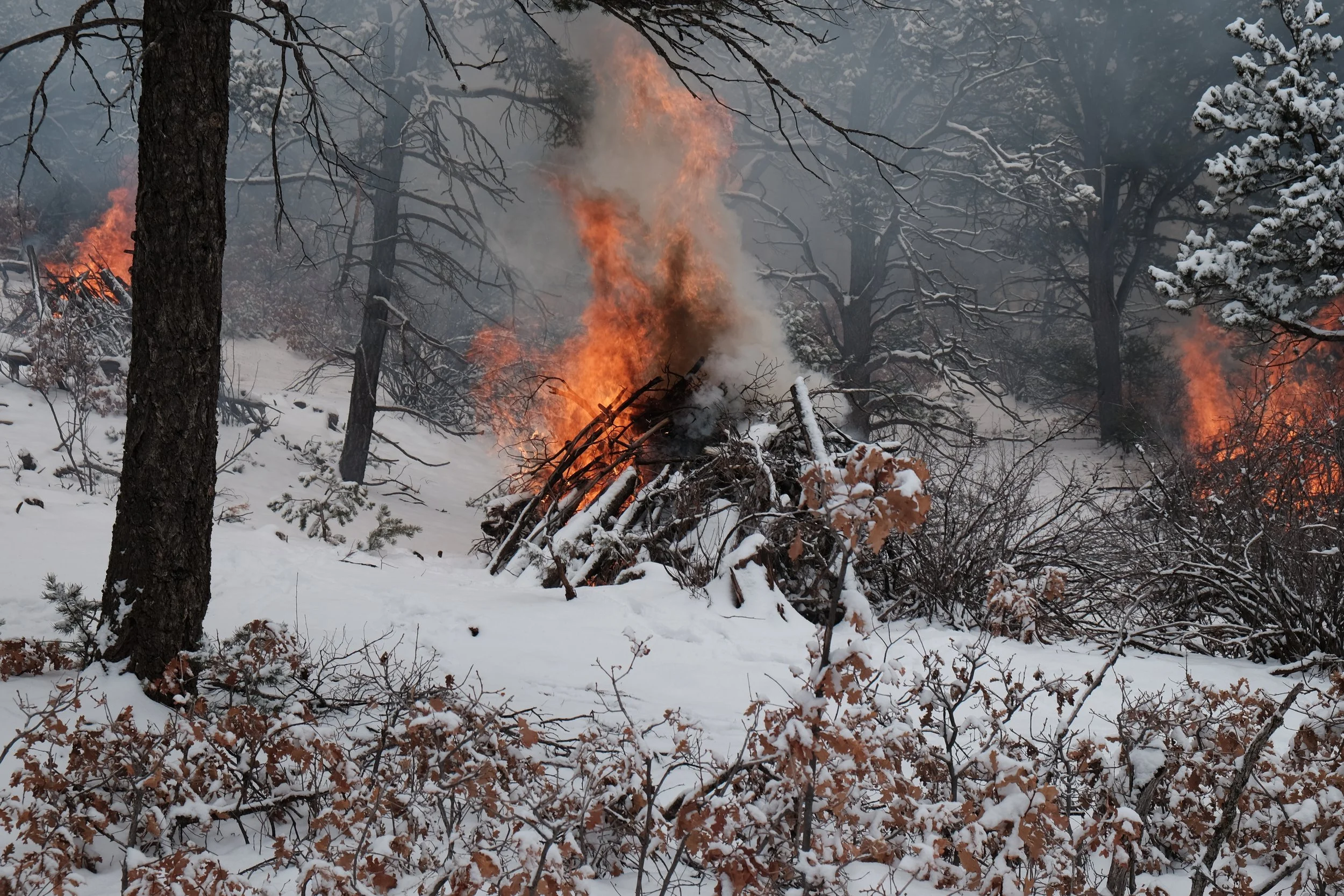 DSCF1207.JPG