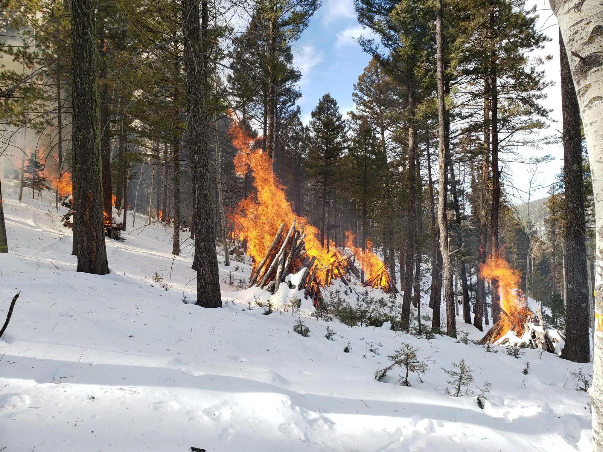 Fire Friday #196: The New Mexico Prescribed Fire Council
