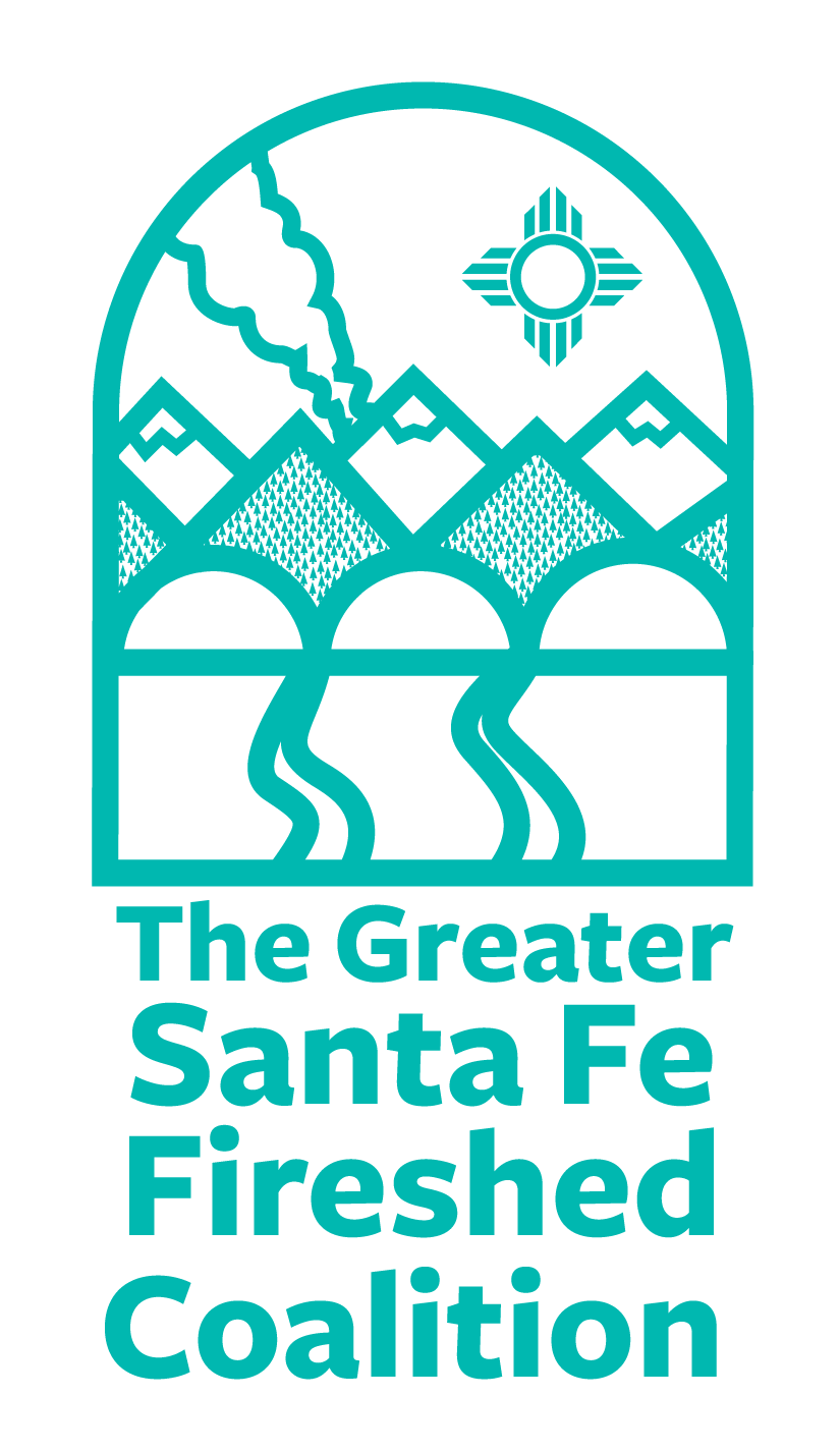 GSFFSC_Logo_White-01 (1).png