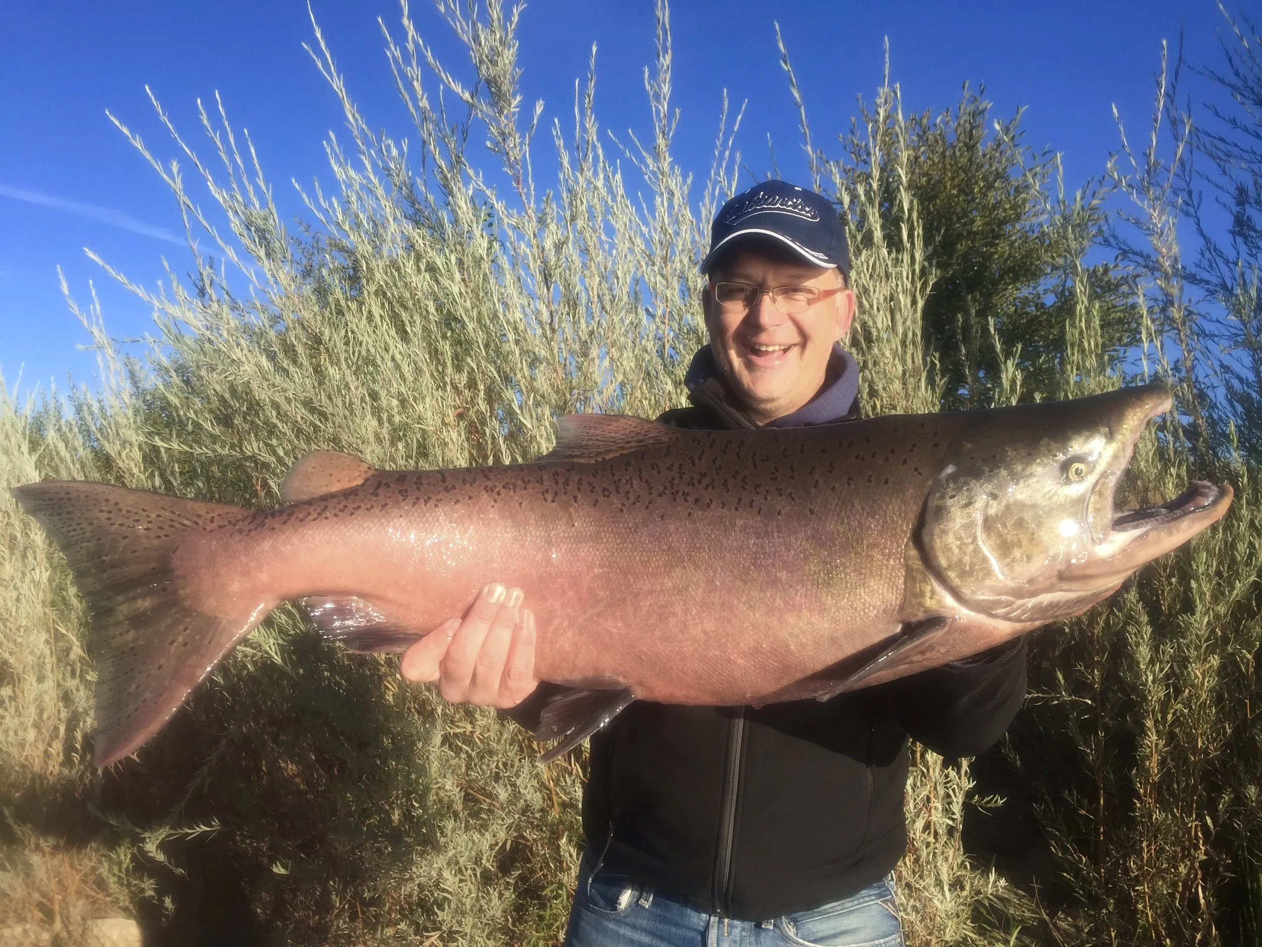 Sacramento River salmon fishing was good today!