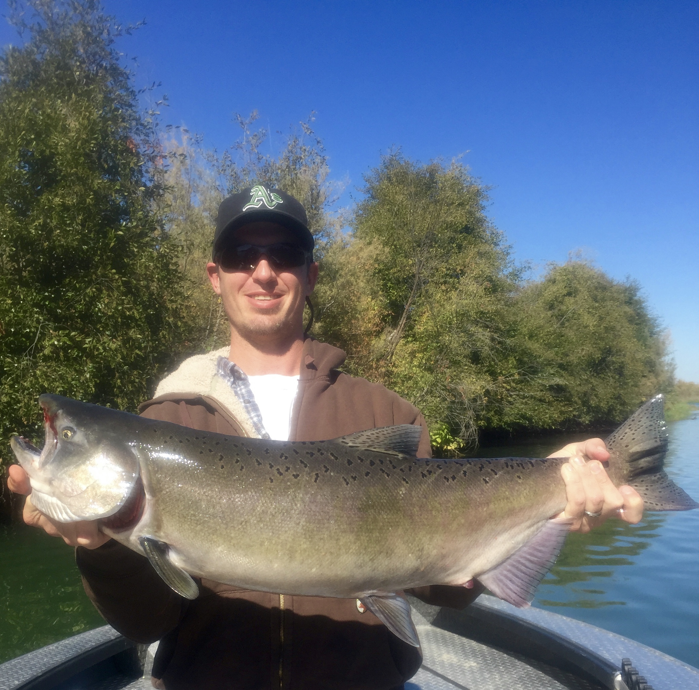 Justin Bonito with a great Sacramento River King salmon.