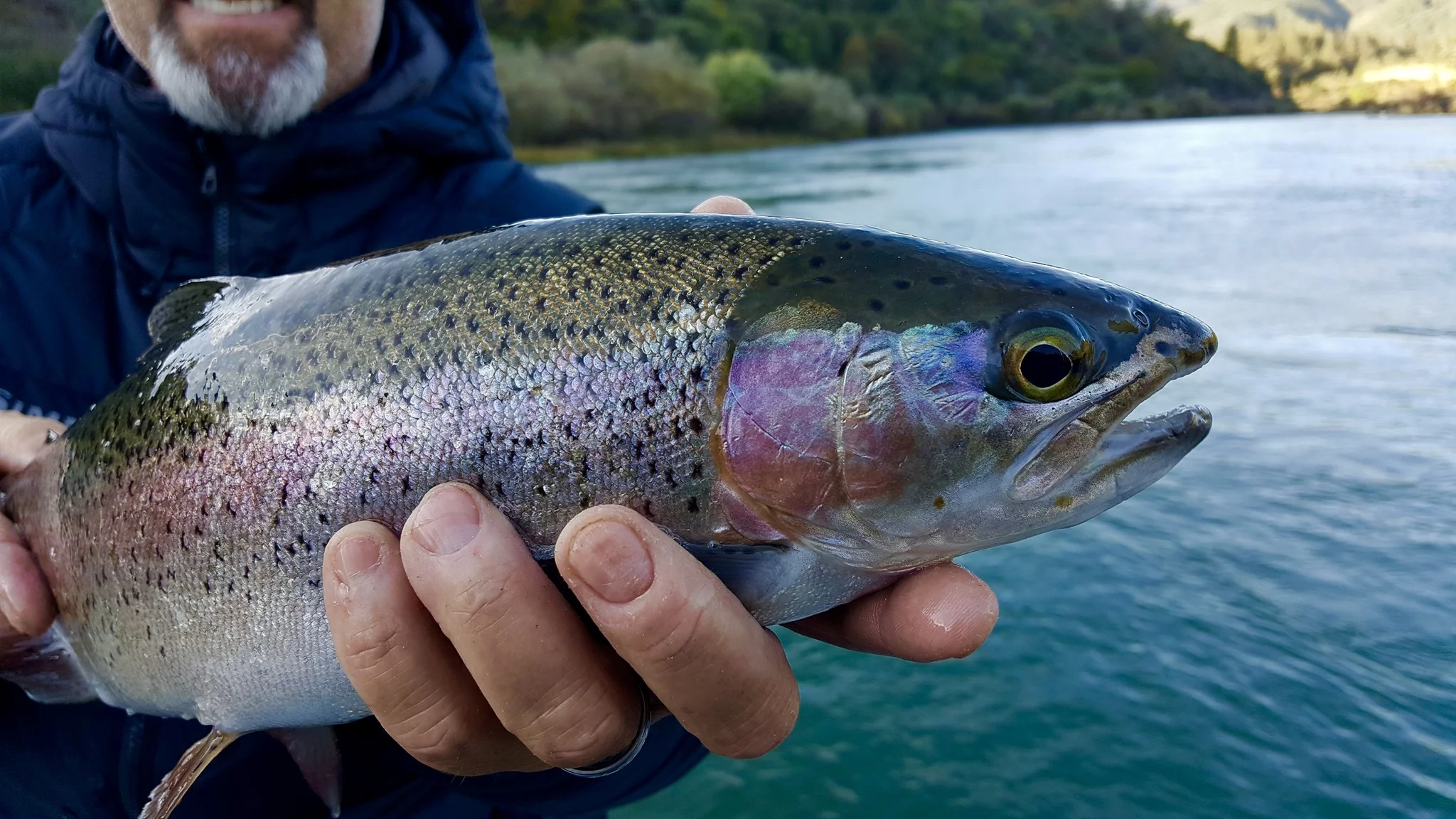 Hardest fighting fish in NorCal!