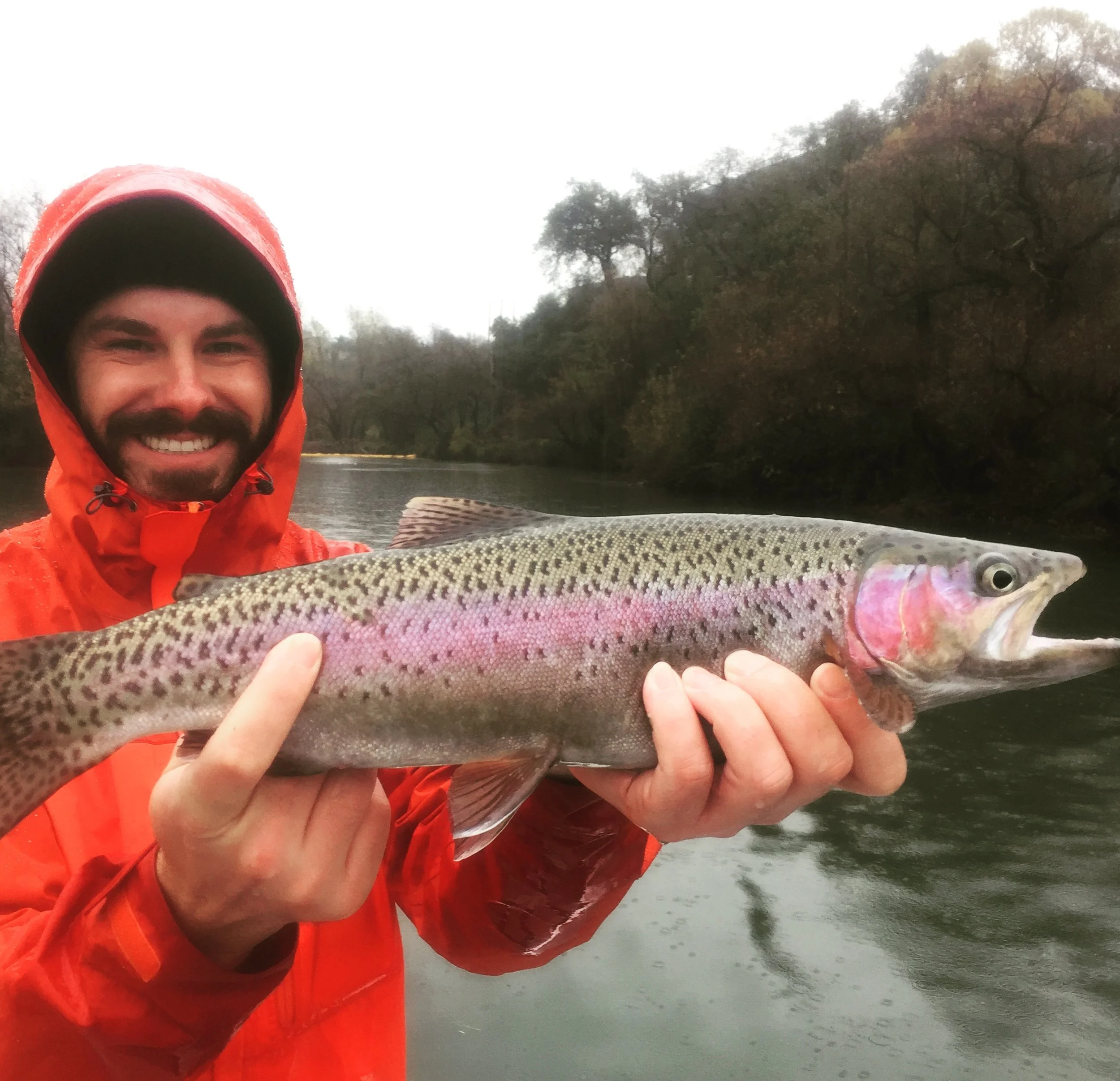 Tyler with one of many beautiful Sacramento River steelhead he caught on 11/19.