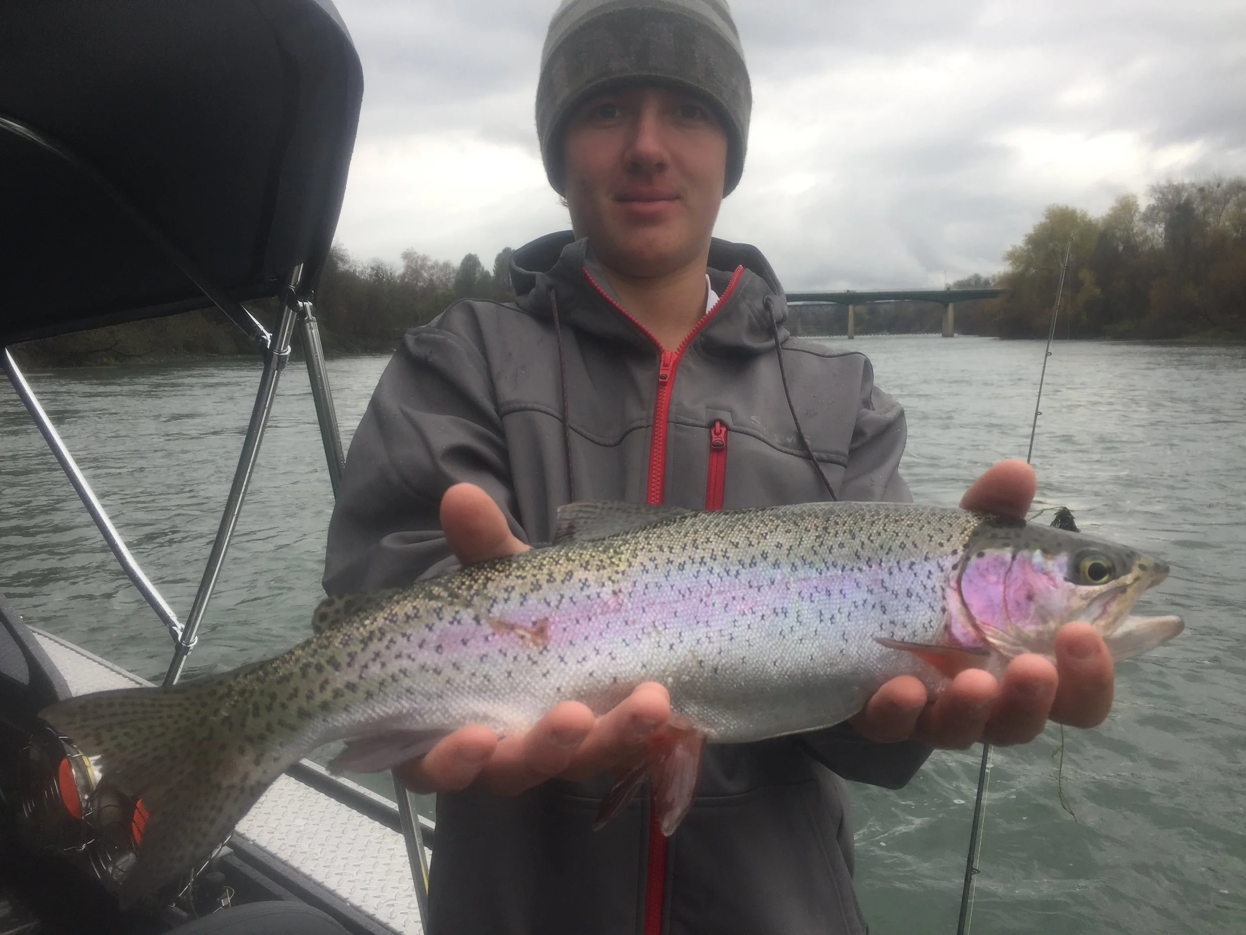 Sacramento River steelhead fishing report