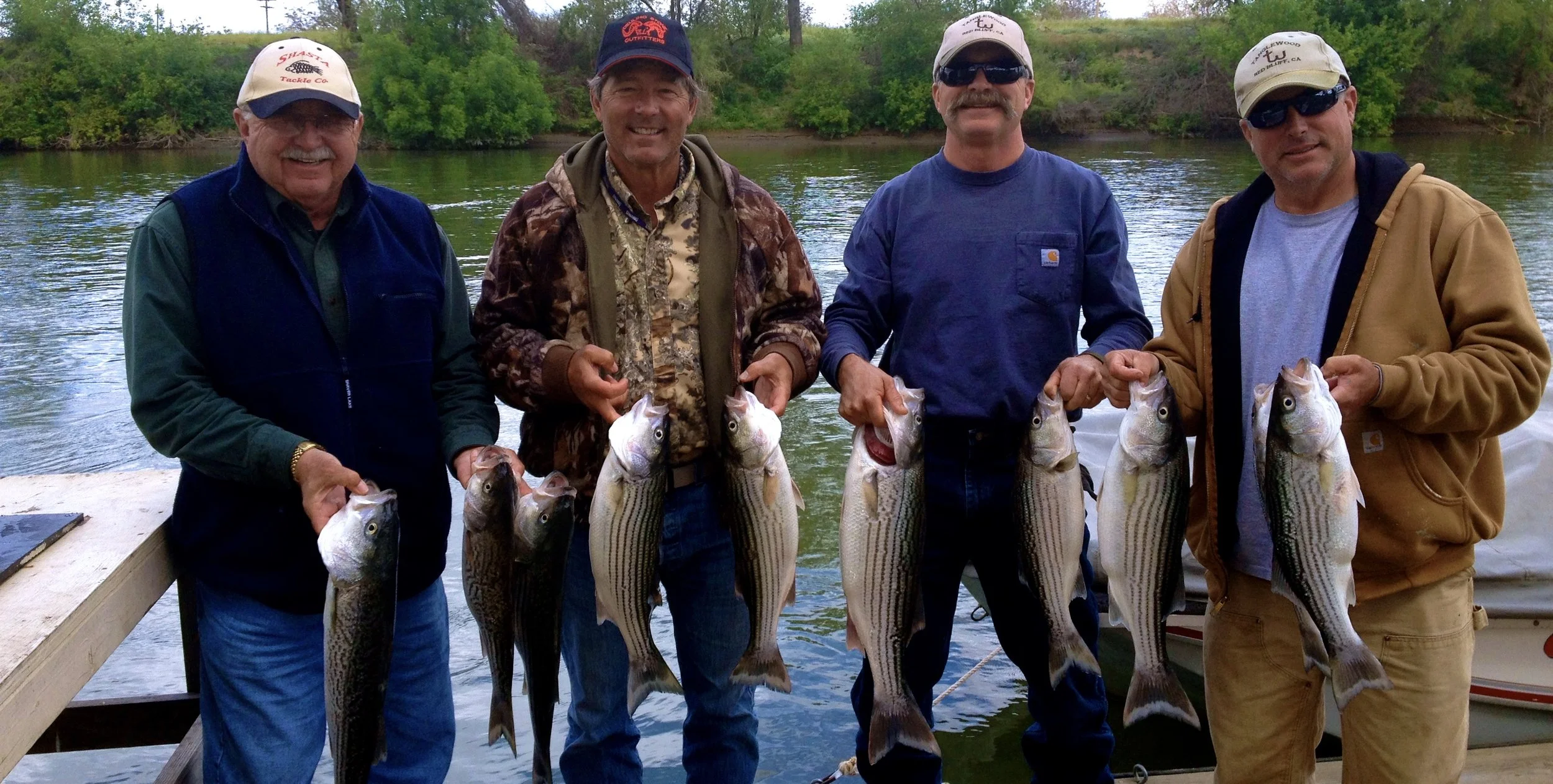 Sacramento River Striped bass!!