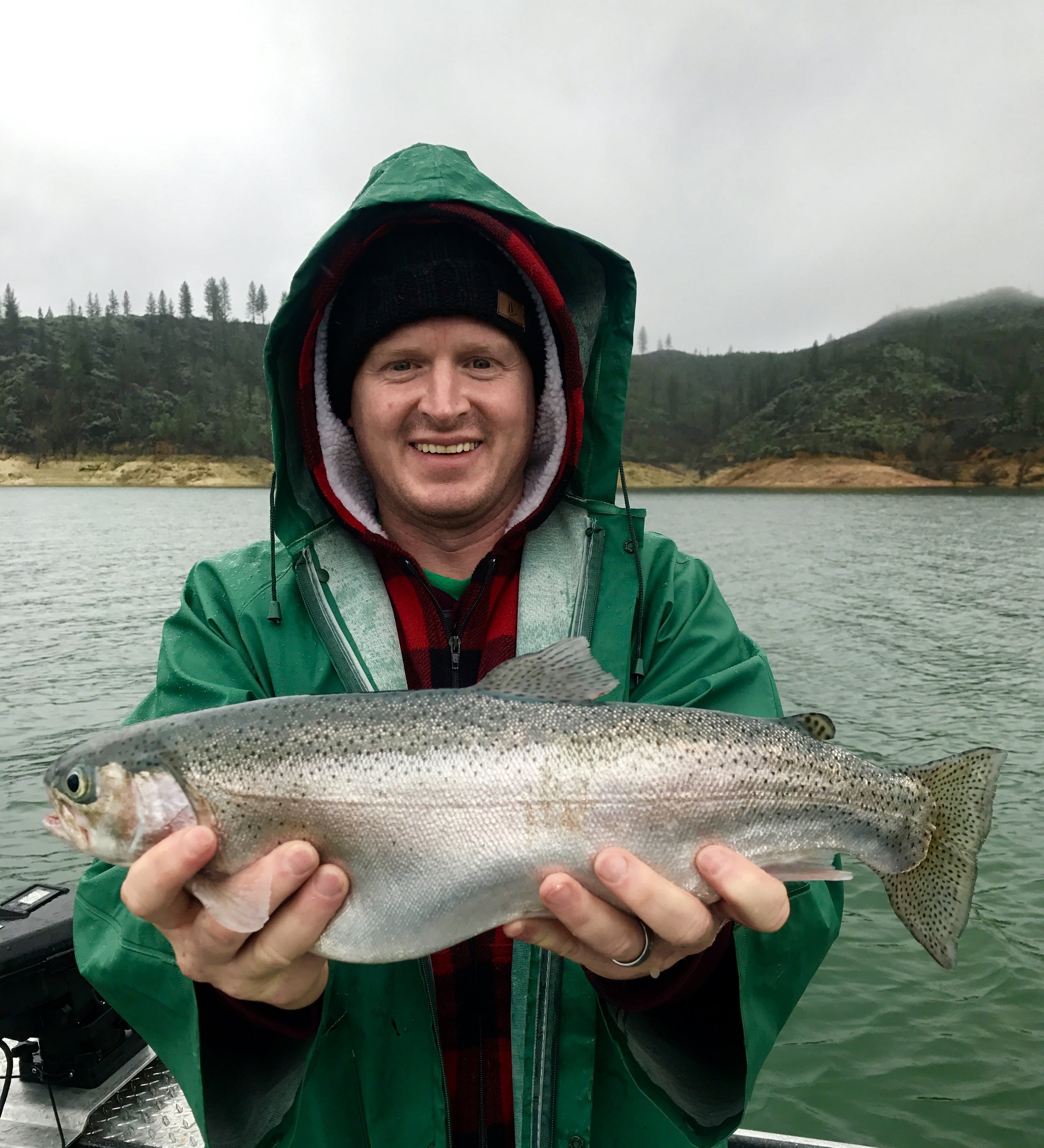 Very fat 19" Shasta Lake rainbow trout!