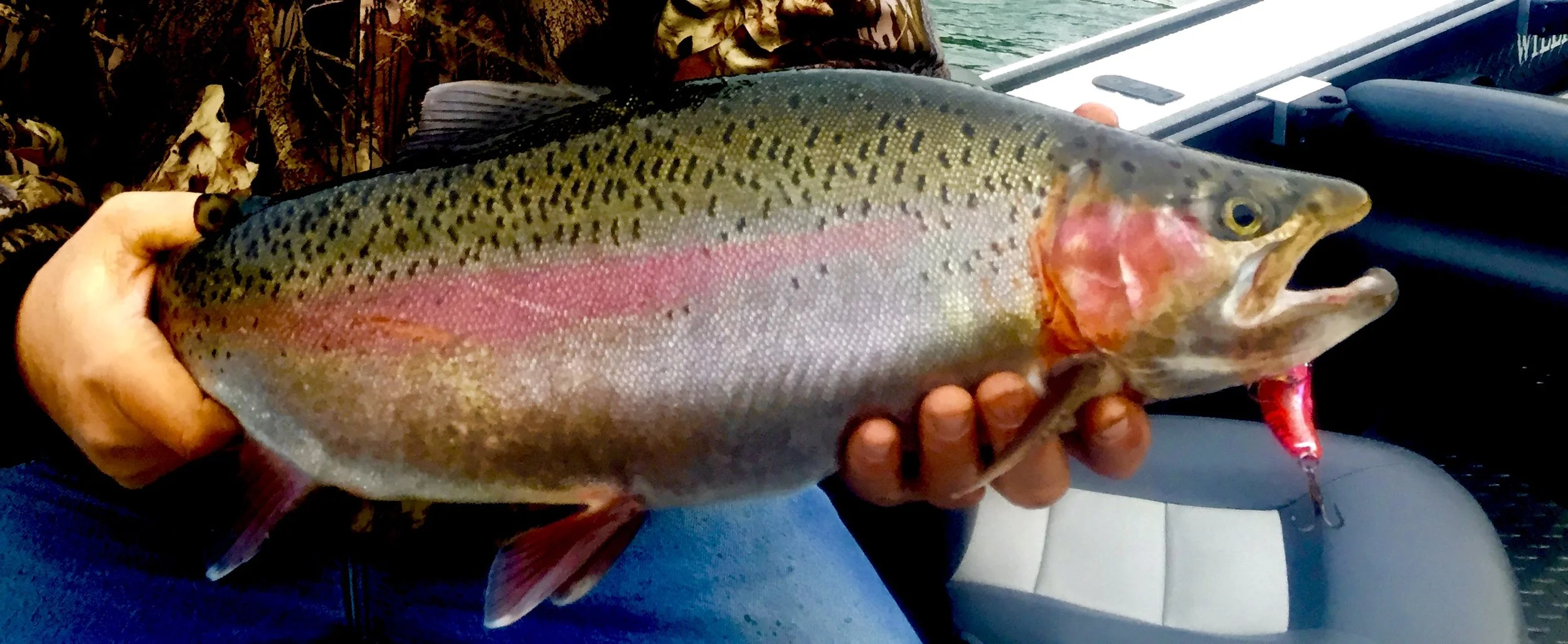 Pro tip #1 - Plug fishing for steelhead.