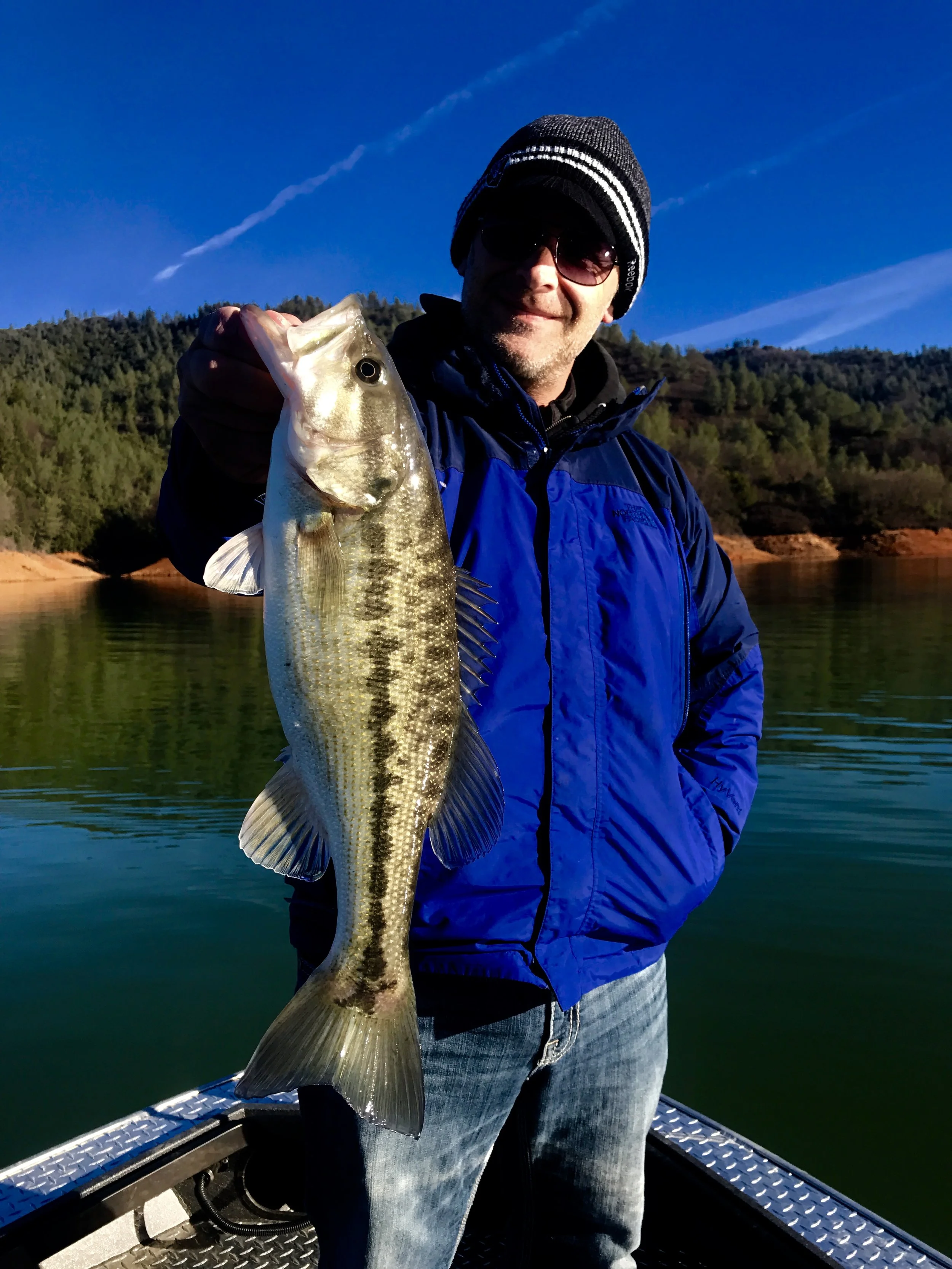 Shasta Lake Spotted bass!