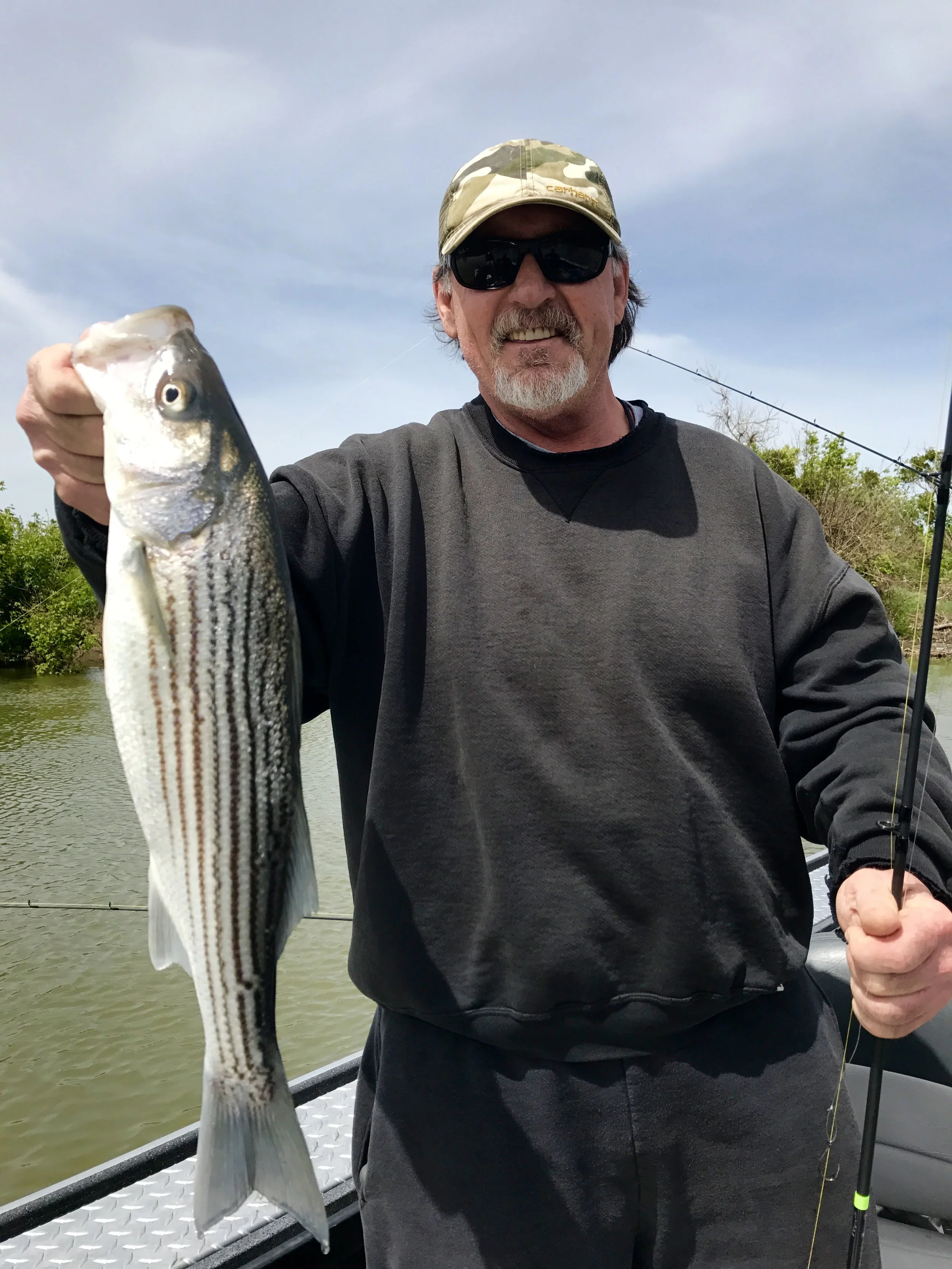 Feather River striped bass.