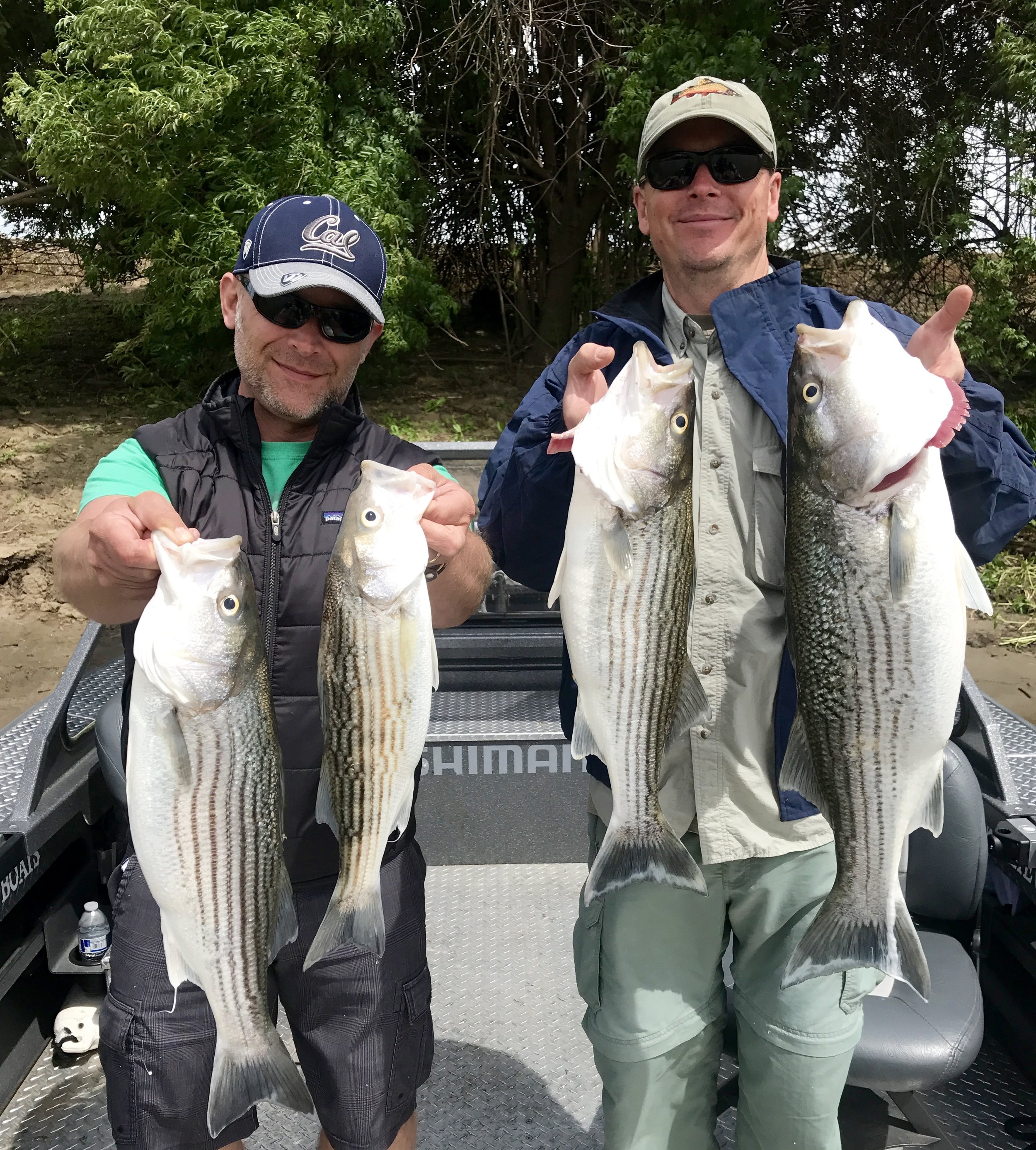 Limits of Feather River Striped bass.