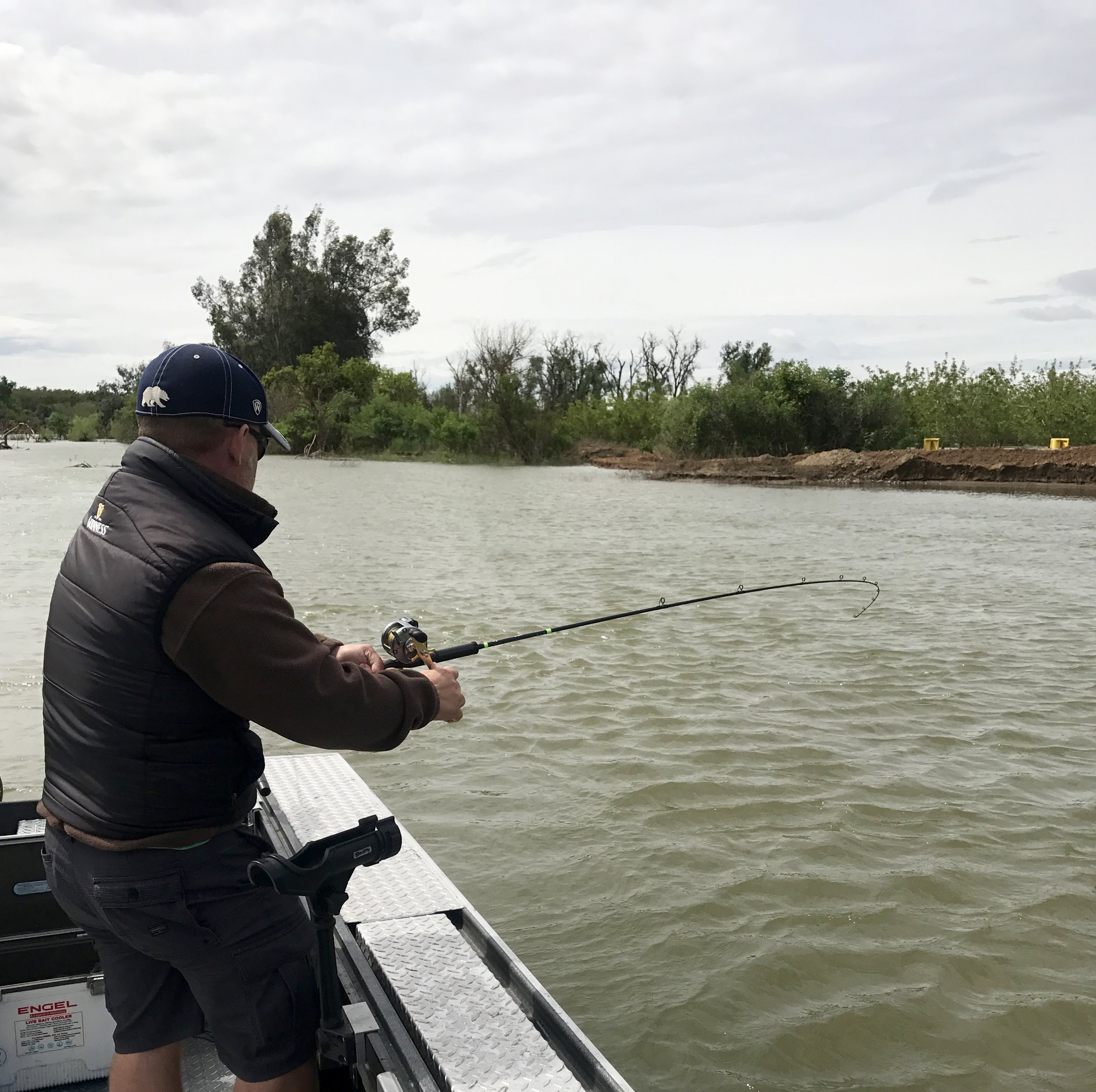 Striped bass fishing report 4/26 — Jeff Goodwin Fishing