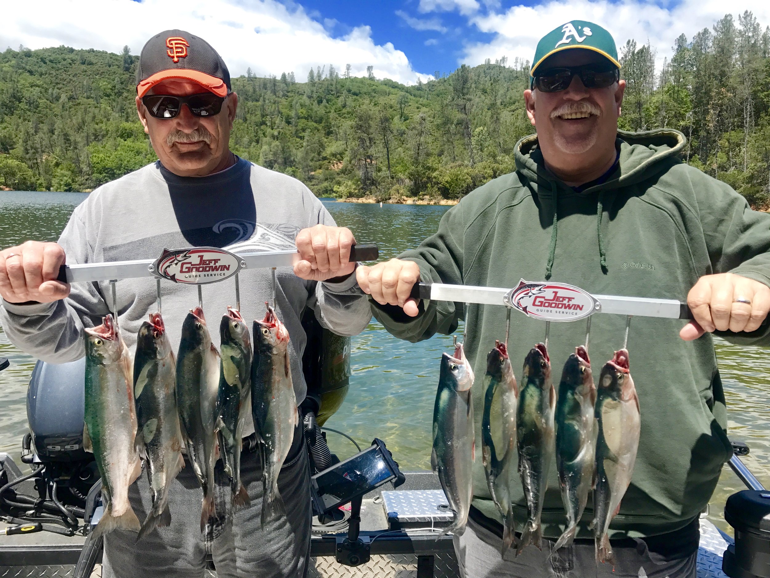 Limits of Whiskeytown lake Kokanee salmon.